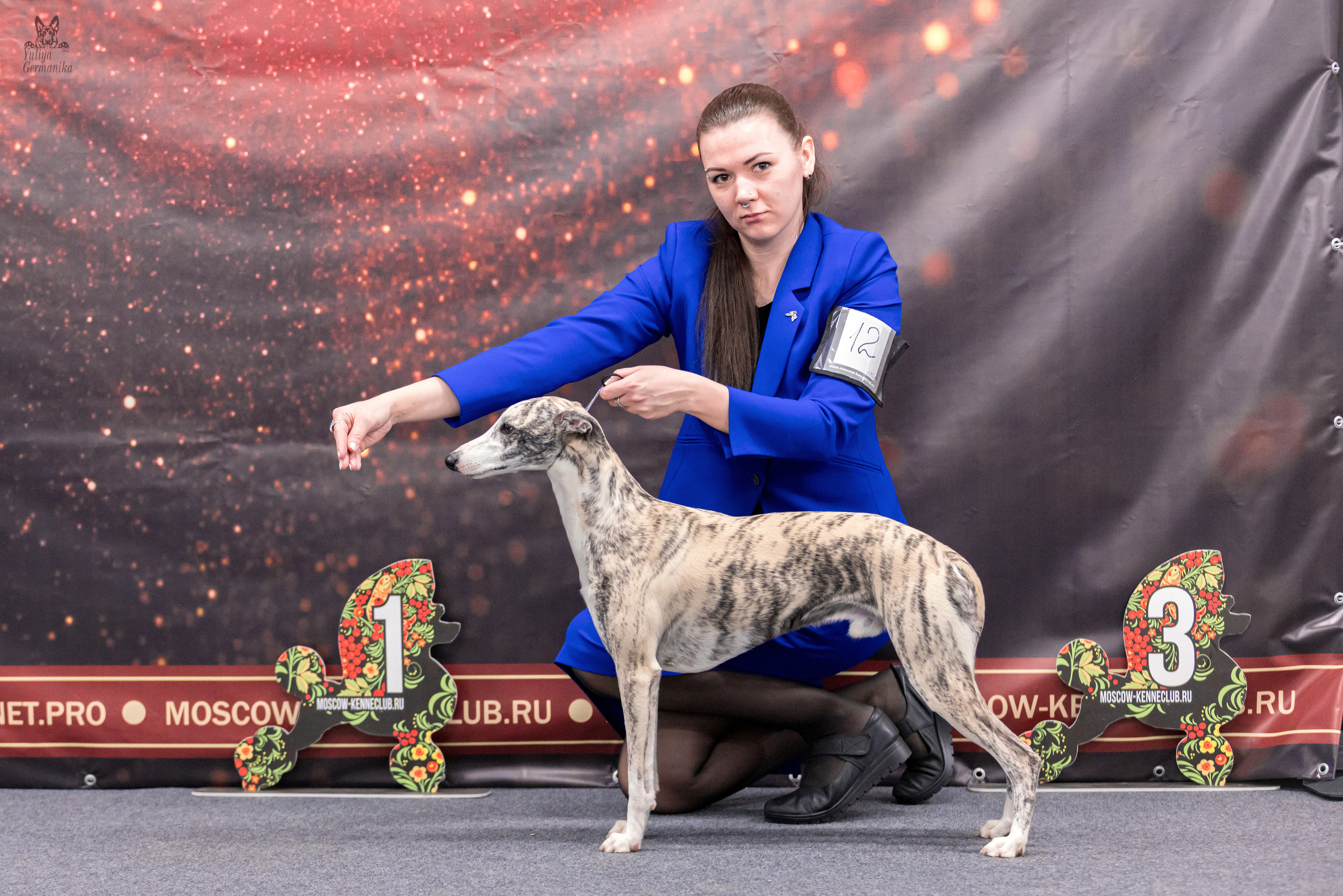 Сфера+доберманы 02.04.2023. Фотограф-анималист Юлия Германика