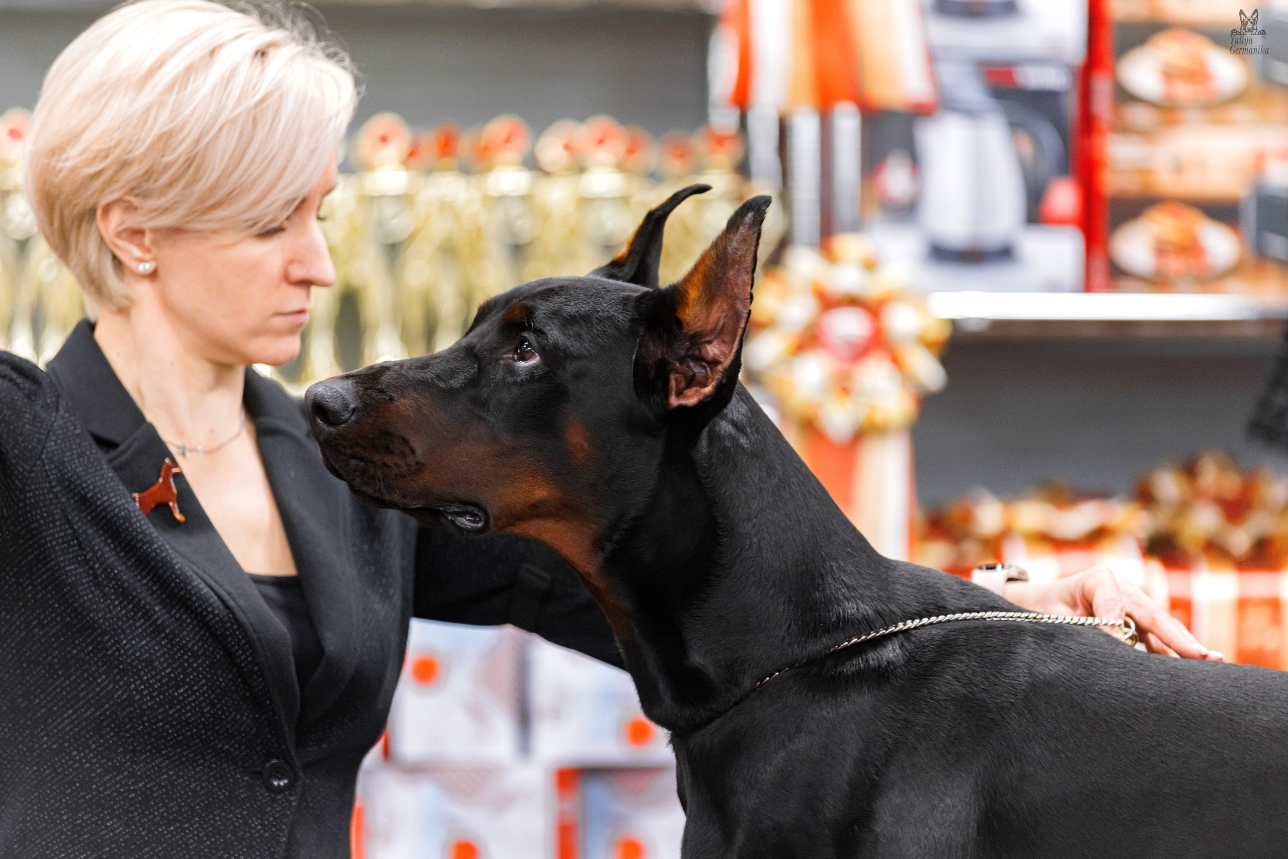 Сфера+доберманы 02.04.2023. Фотограф-анималист Юлия Германика