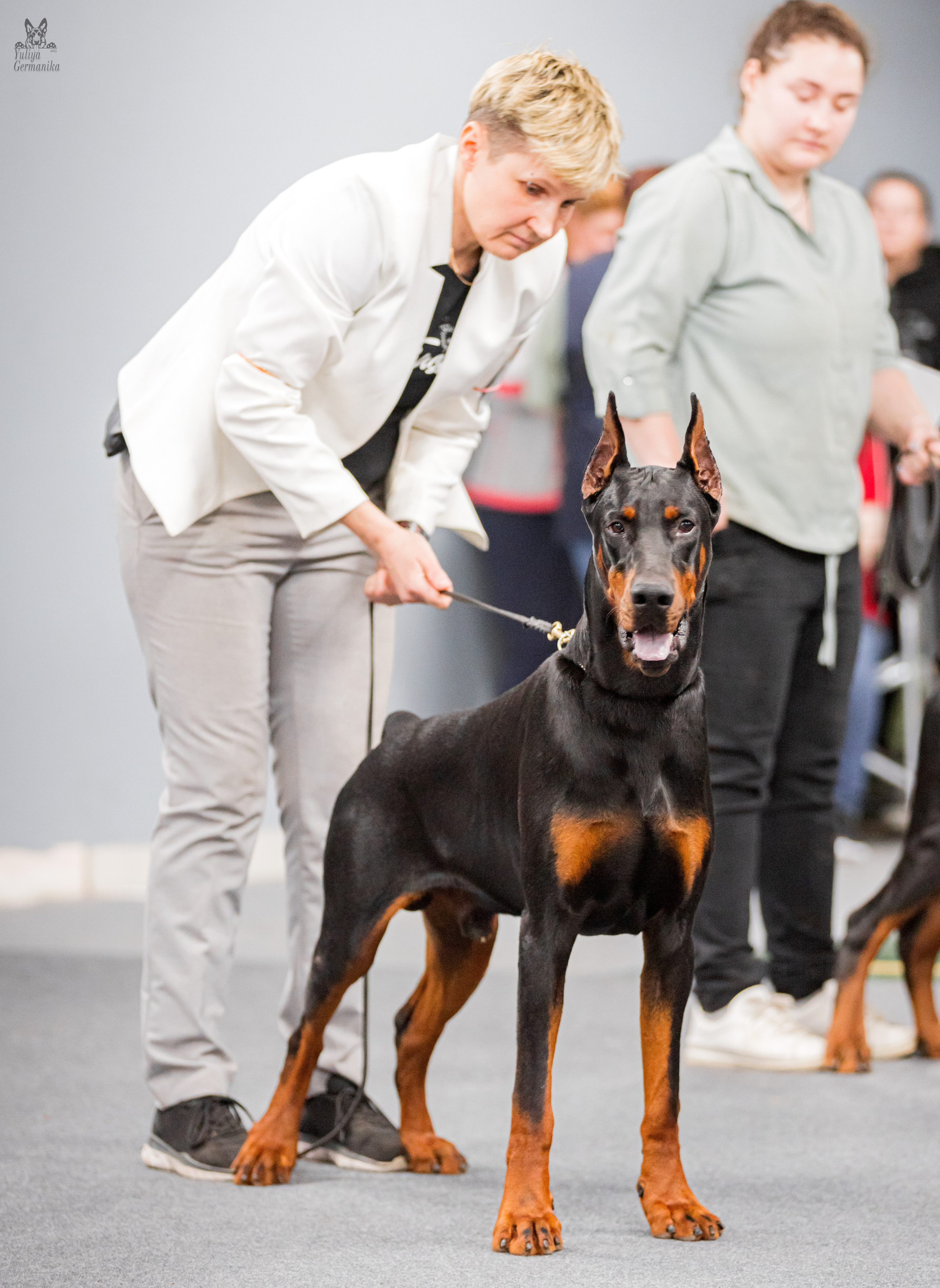 Сфера+доберманы 02.04.2023. Фотограф-анималист Юлия Германика