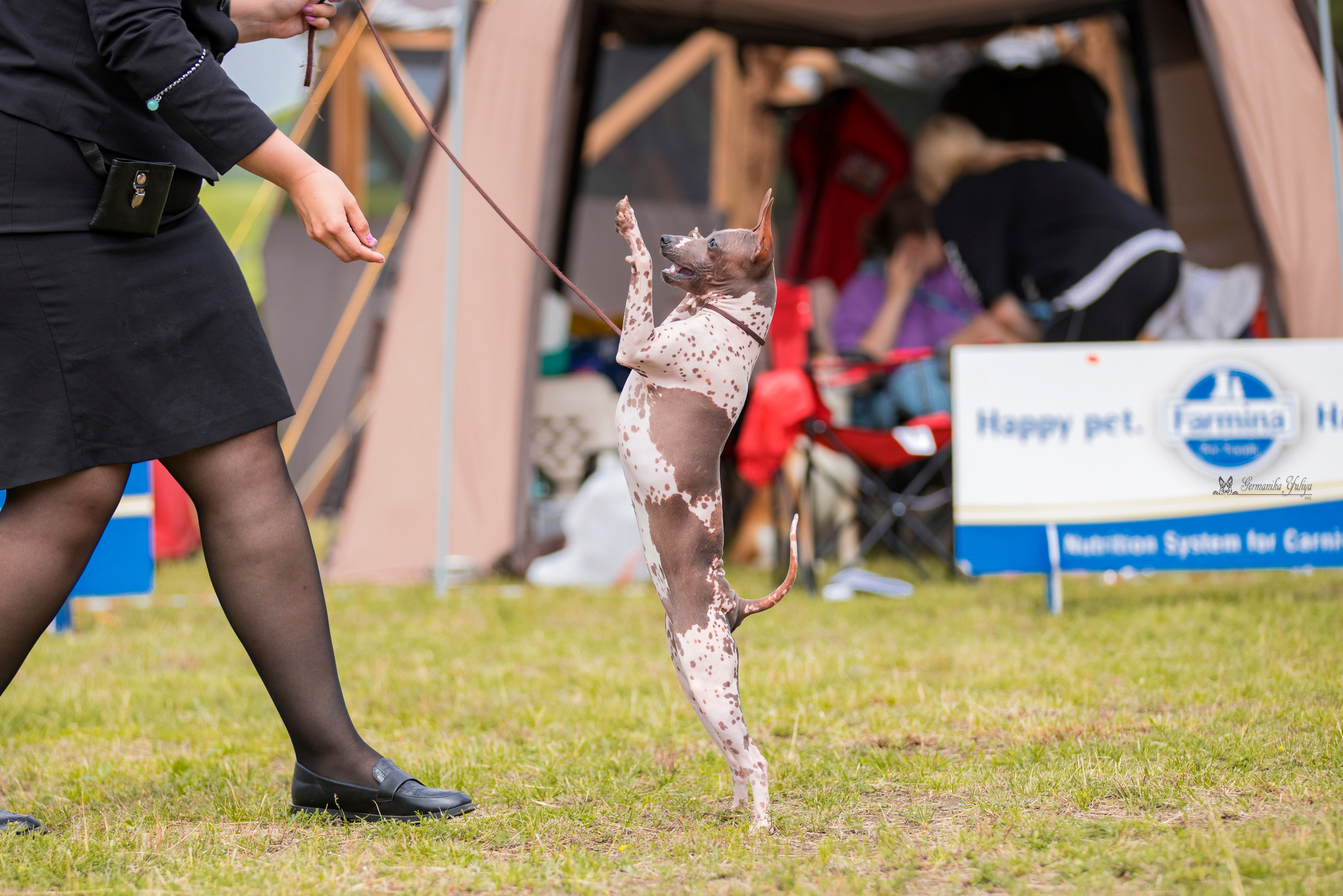 Владимир 1-2.07.2023. Фотограф-анималист Юлия Германика