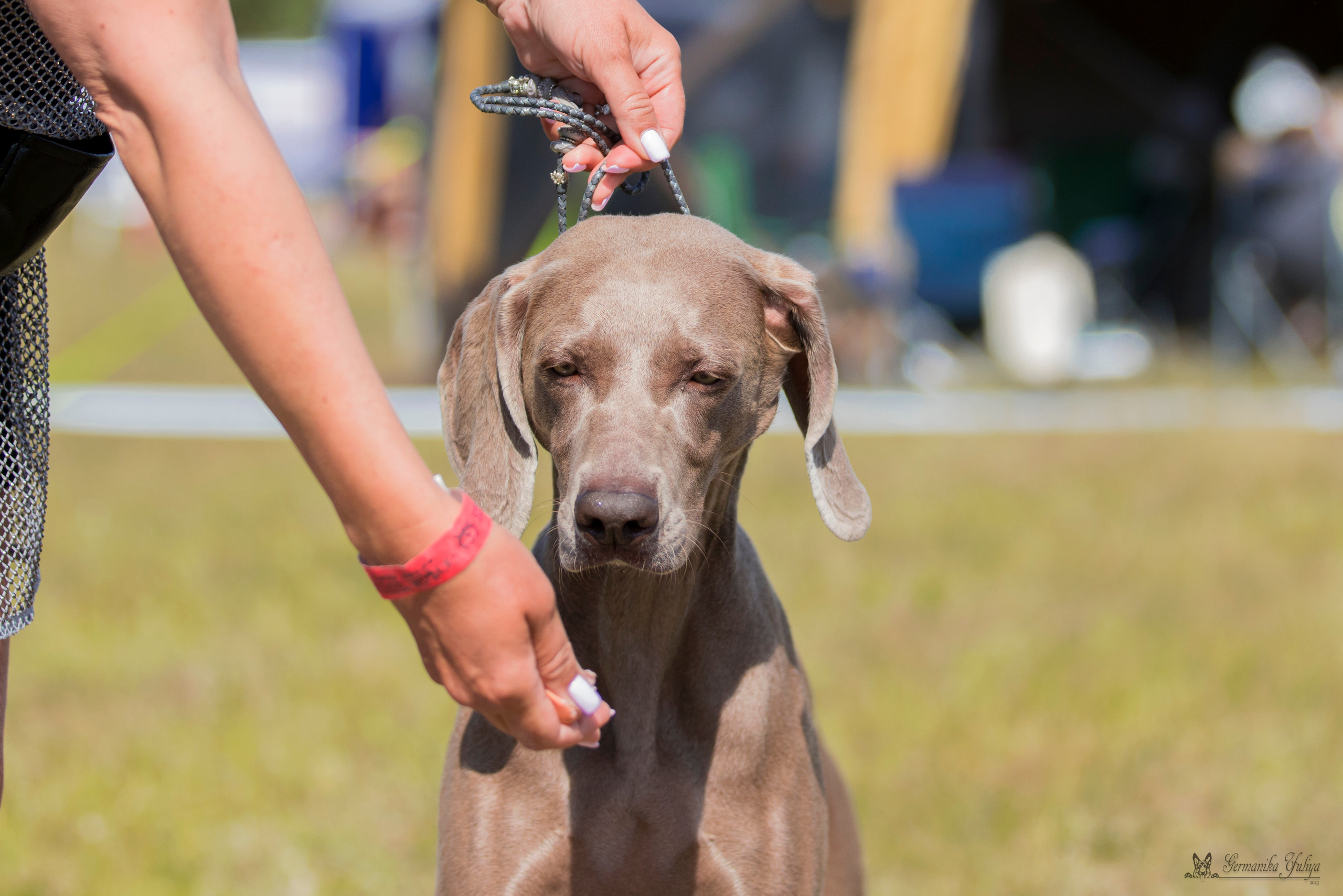 Волжанка 8.07.2023. Фотограф-анималист Юлия Германика