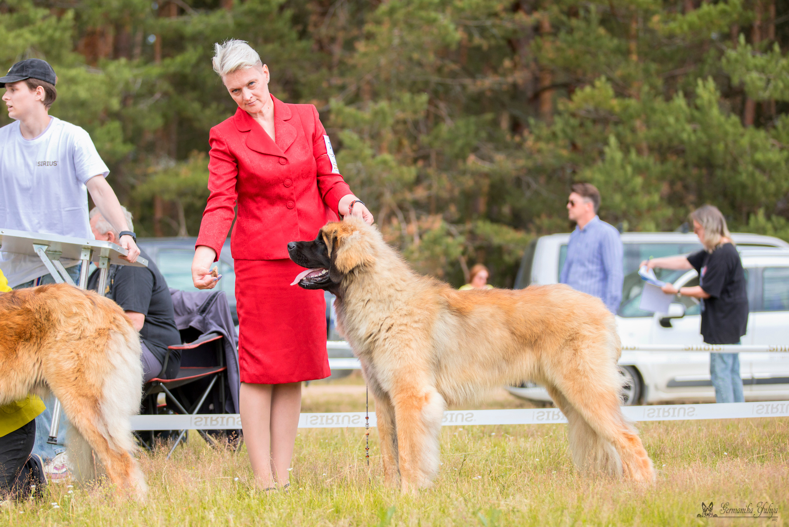 Волжанка 8.07.2023. Фотограф-анималист Юлия Германика