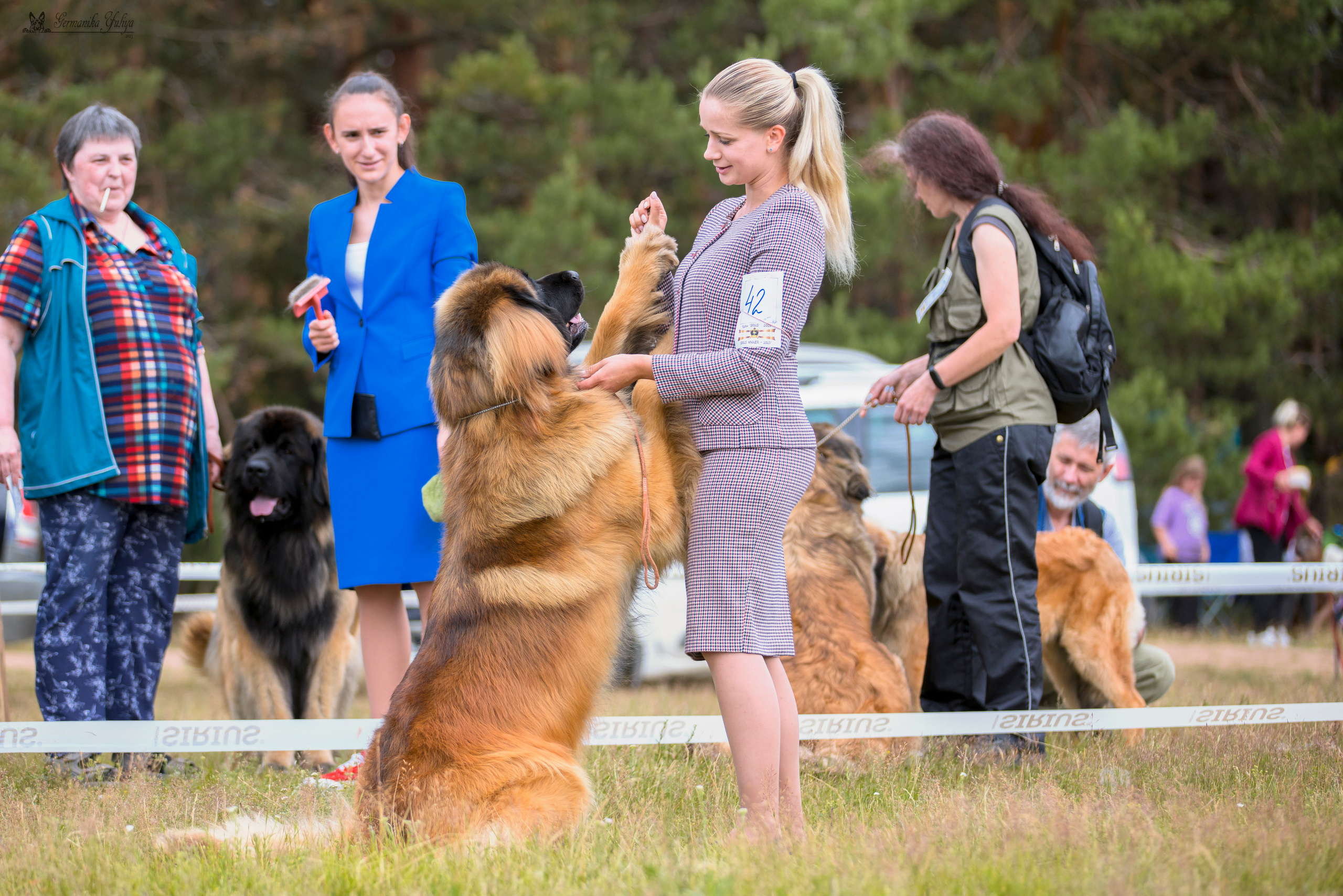 Волжанка 8.07.2023. Фотограф-анималист Юлия Германика