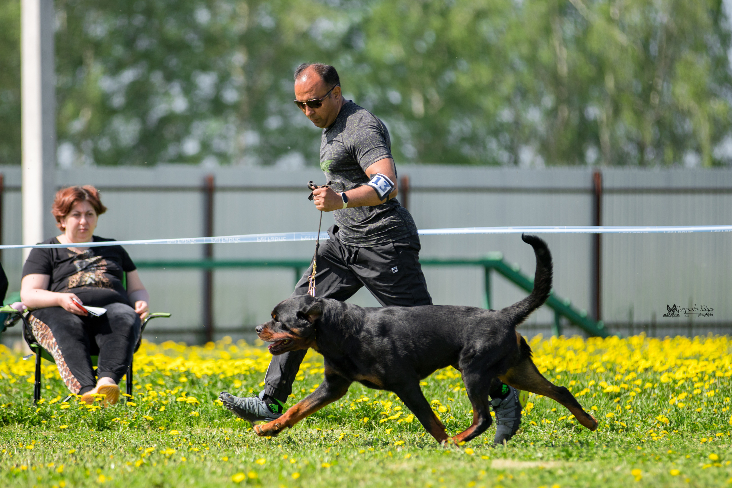 Нижний Новгород моно ротвейлеров 13.05.2023. Фотограф-анималист Юлия Германика
