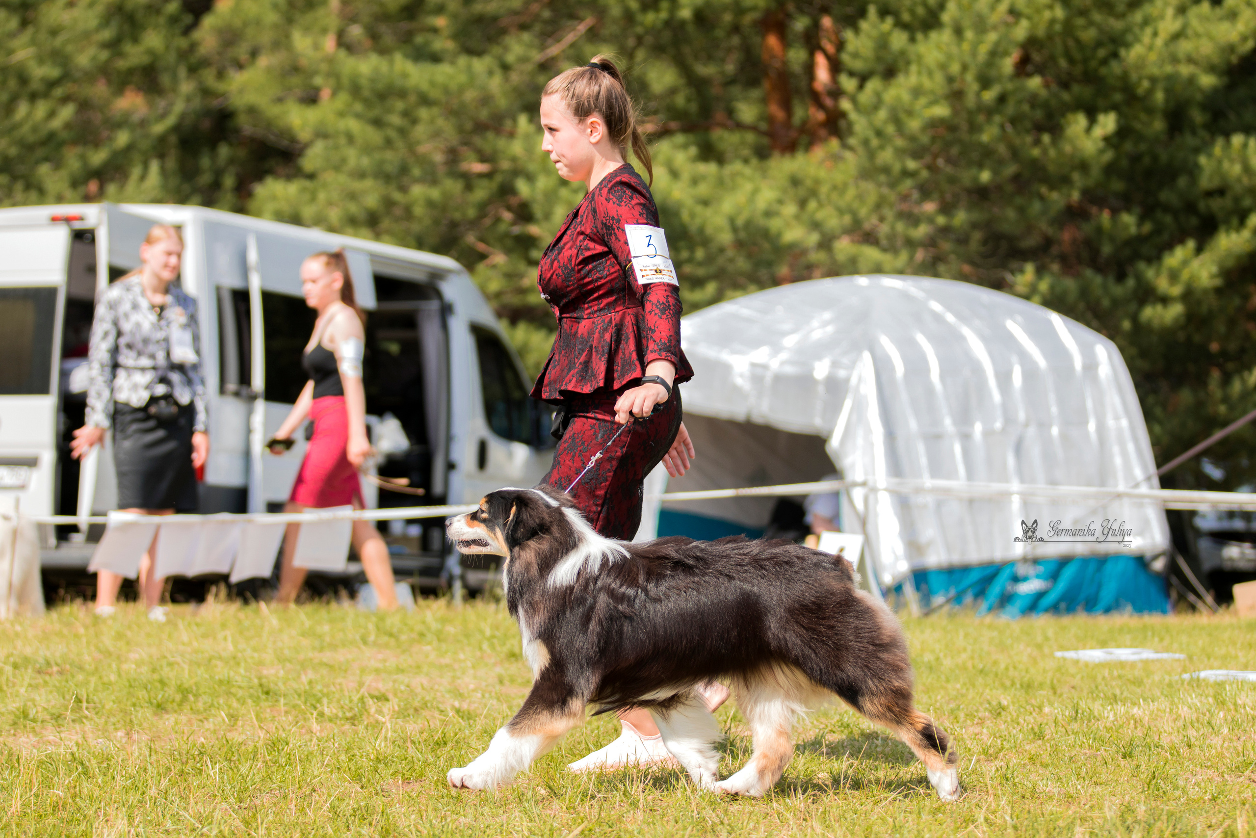 Волжанка 8.07.2023. Фотограф-анималист Юлия Германика
