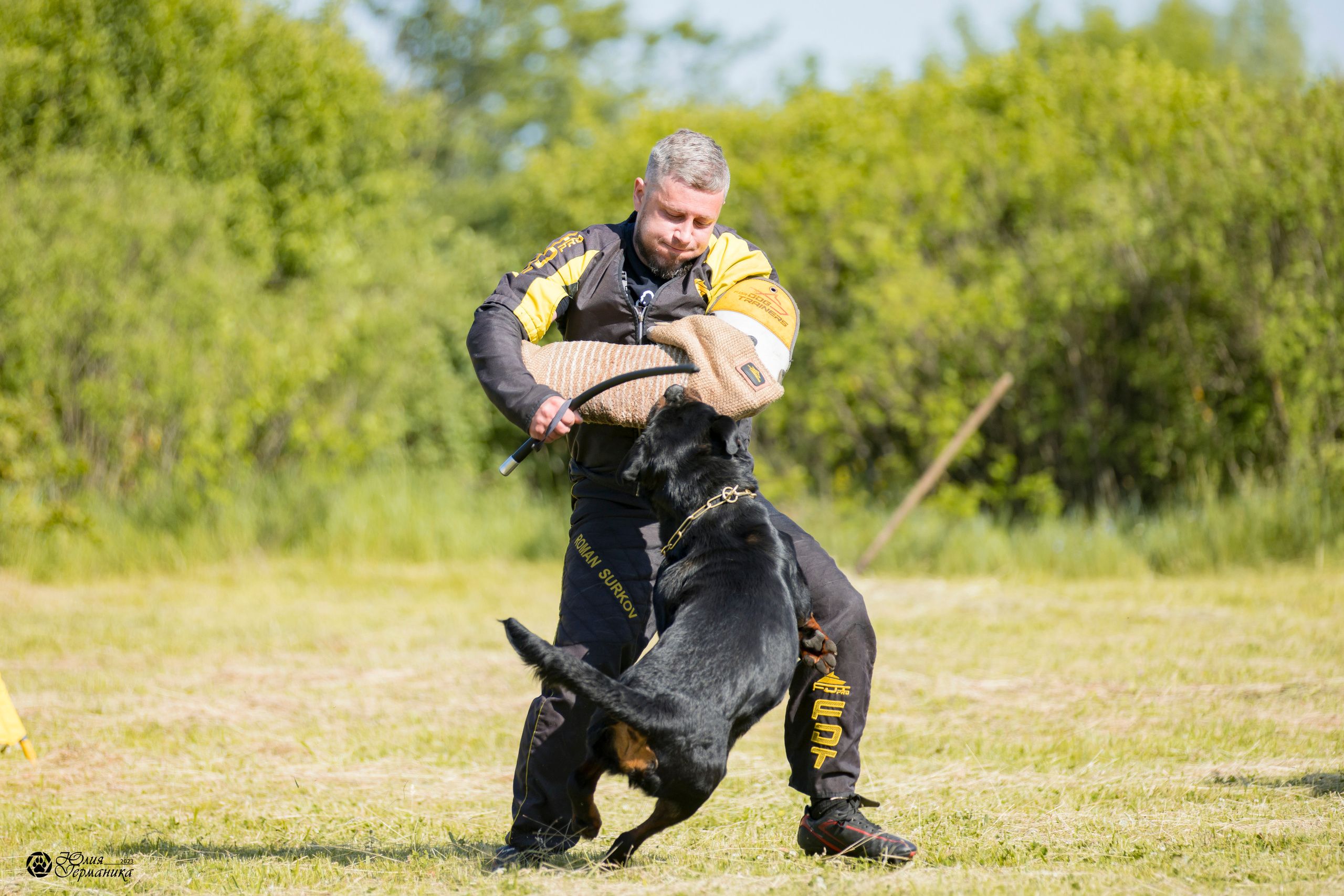 Воронеж 2хмоно ротвейлеров 3-4.06.2023. Фотограф-анималист Юлия Германика
