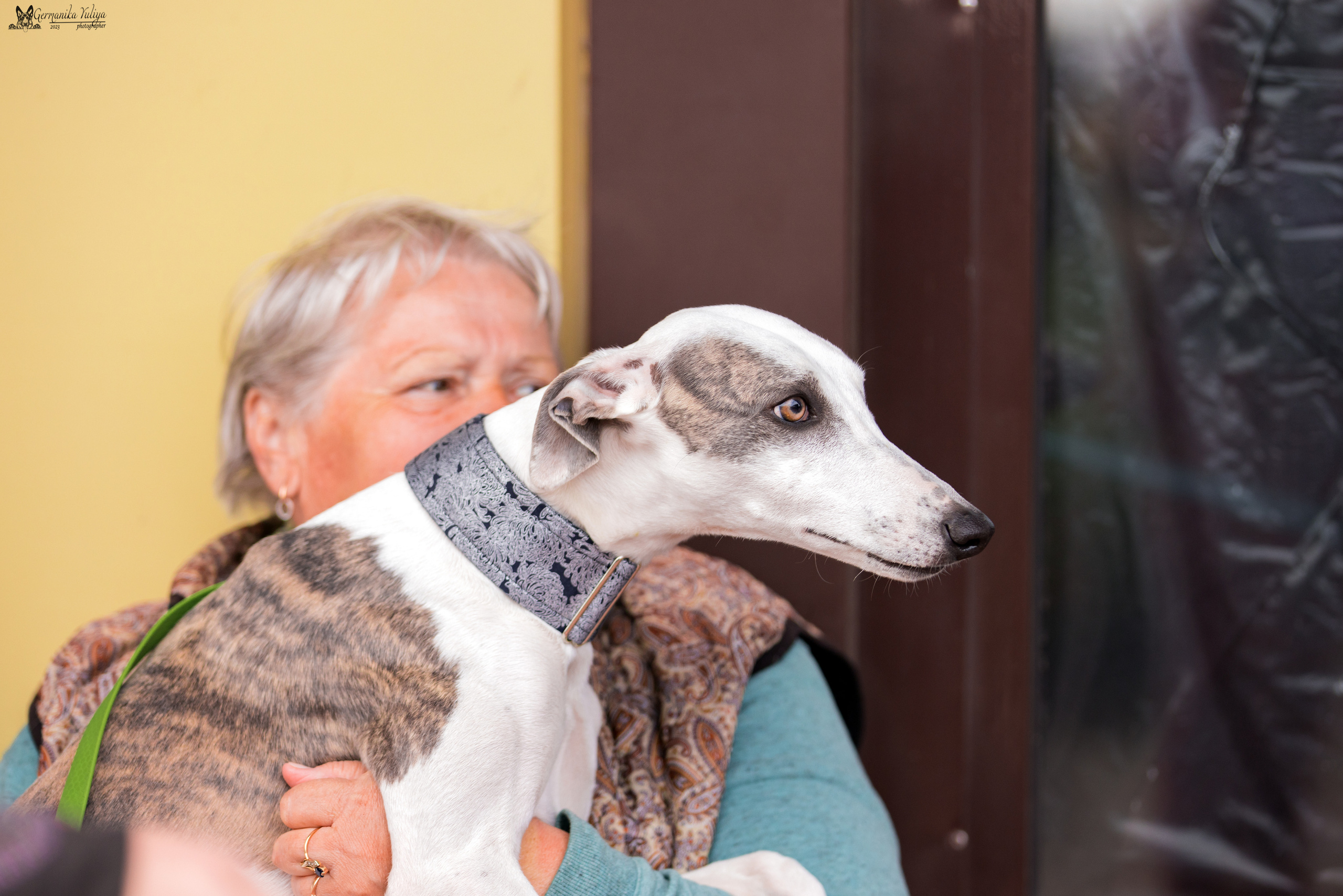 Измайлово 21.05.2023. Фотограф-анималист Юлия Германика