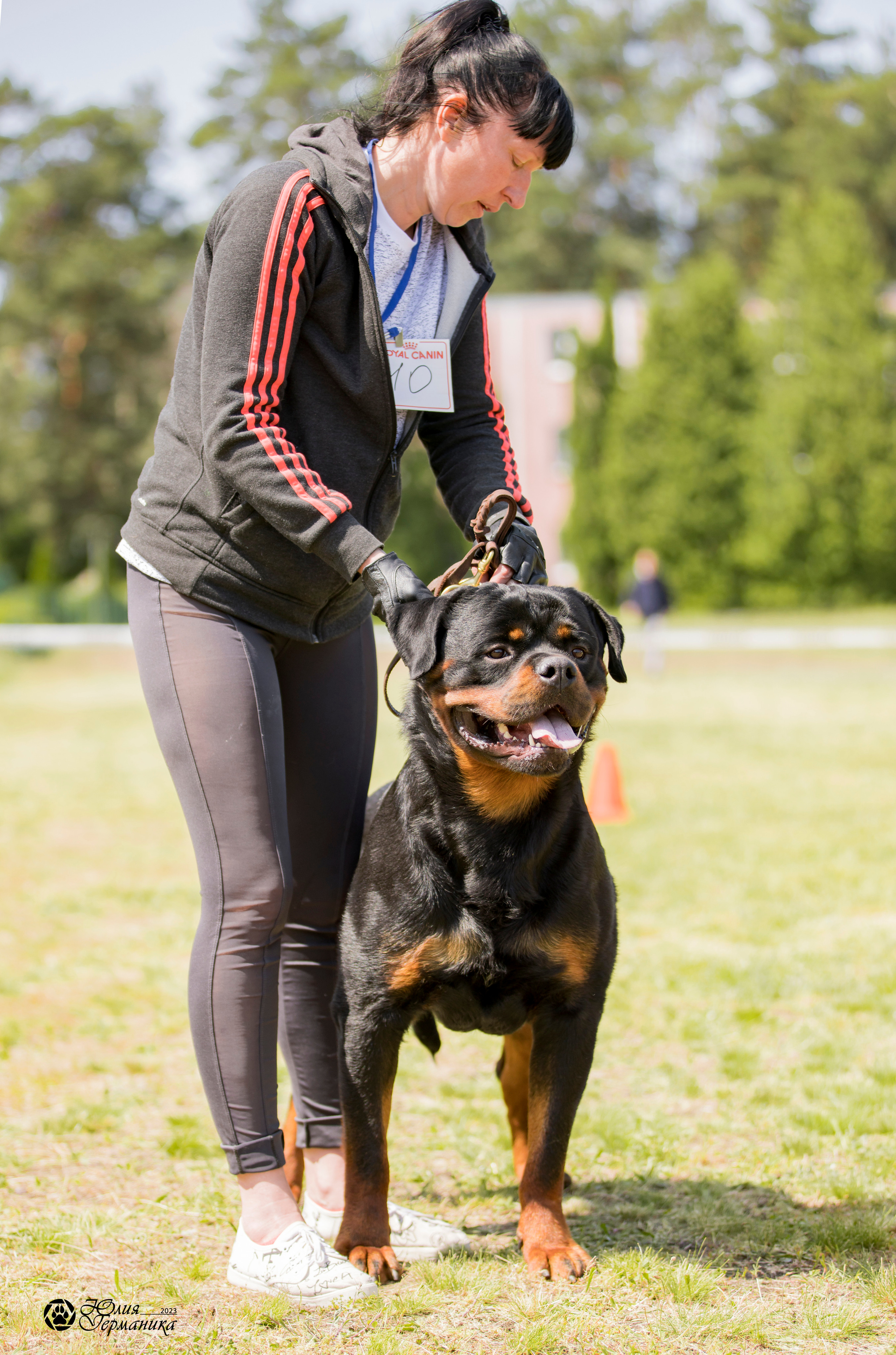 Воронеж 2хмоно ротвейлеров 3-4.06.2023. Фотограф-анималист Юлия Германика