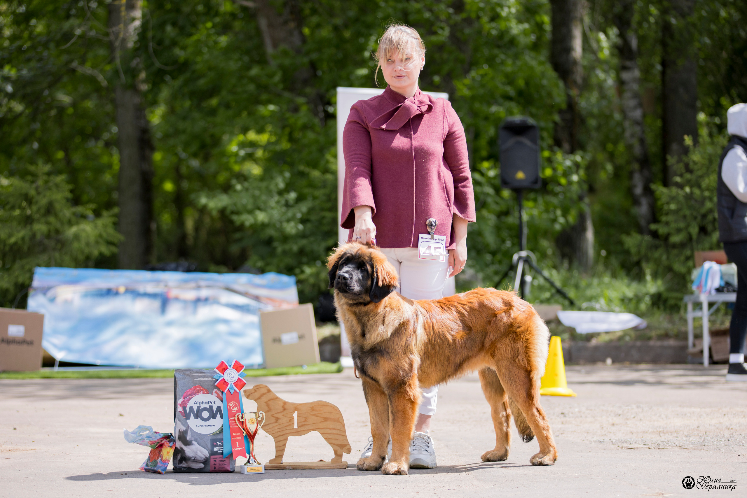 Националка Леонбергеров 28.05.2023. Фотограф-анималист Юлия Германика