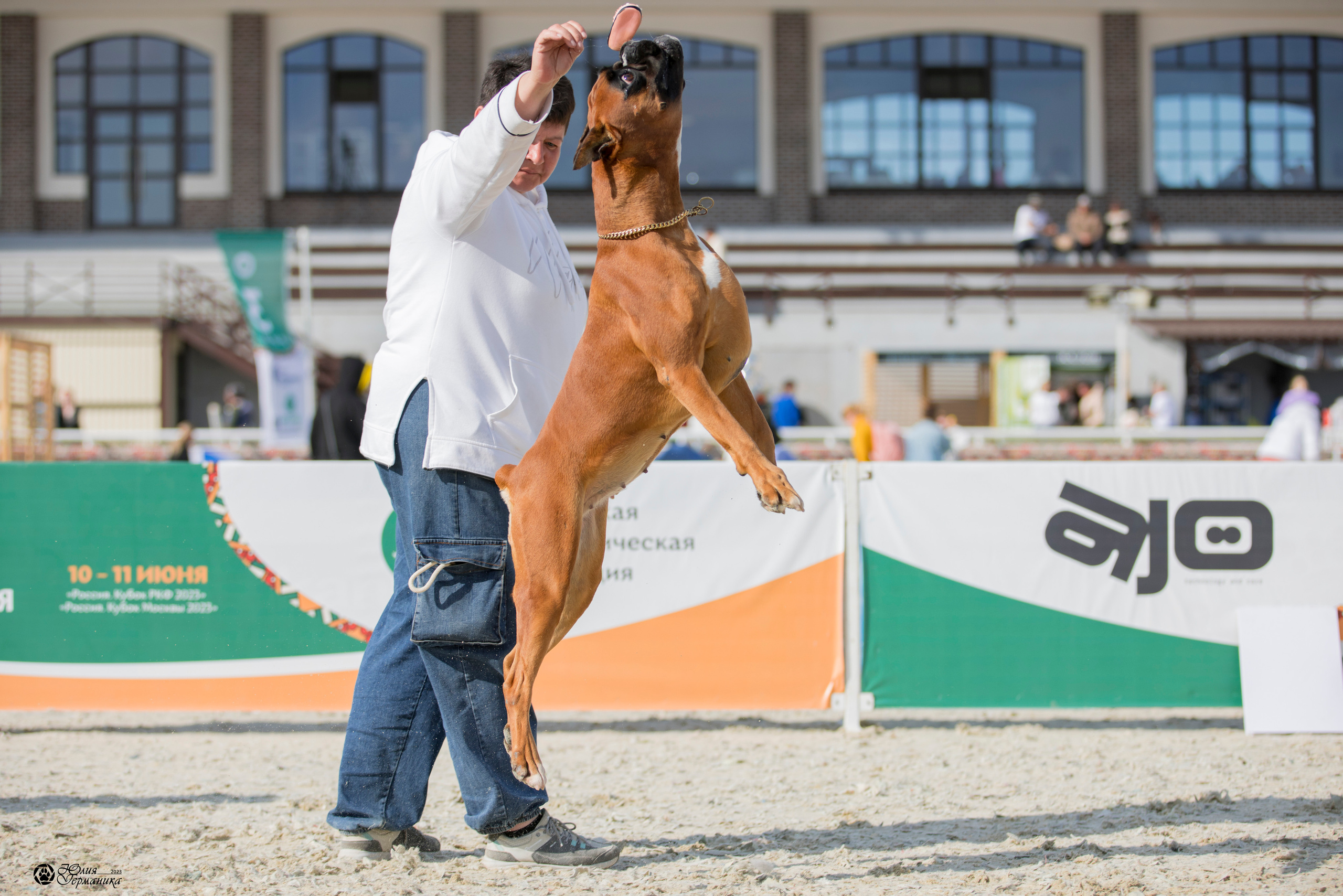 Россия 10-11.06.2023. Фотограф-анималист Юлия Германика