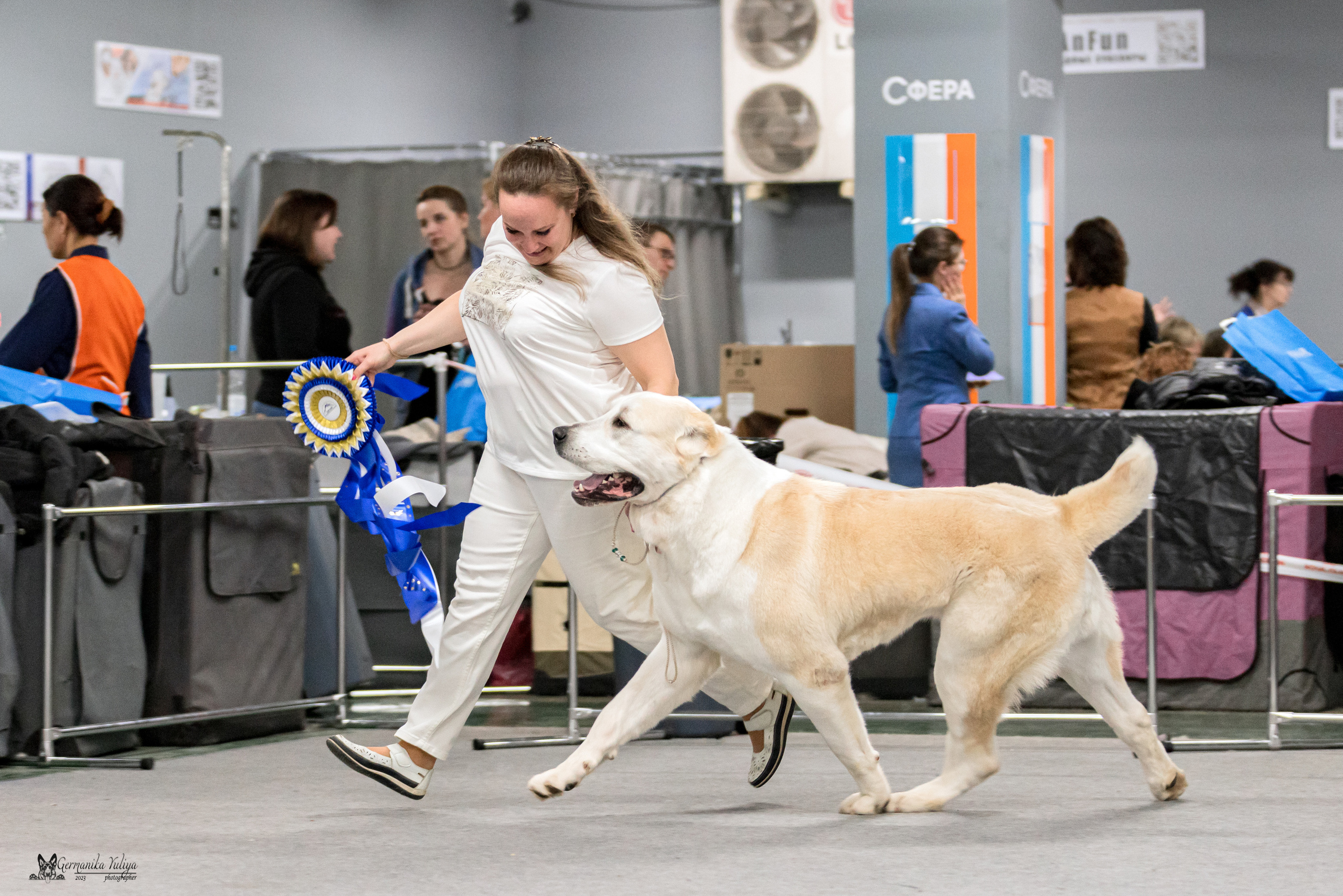 Сфера+МД 8-9.04.2023. Фотограф-анималист Юлия Германика