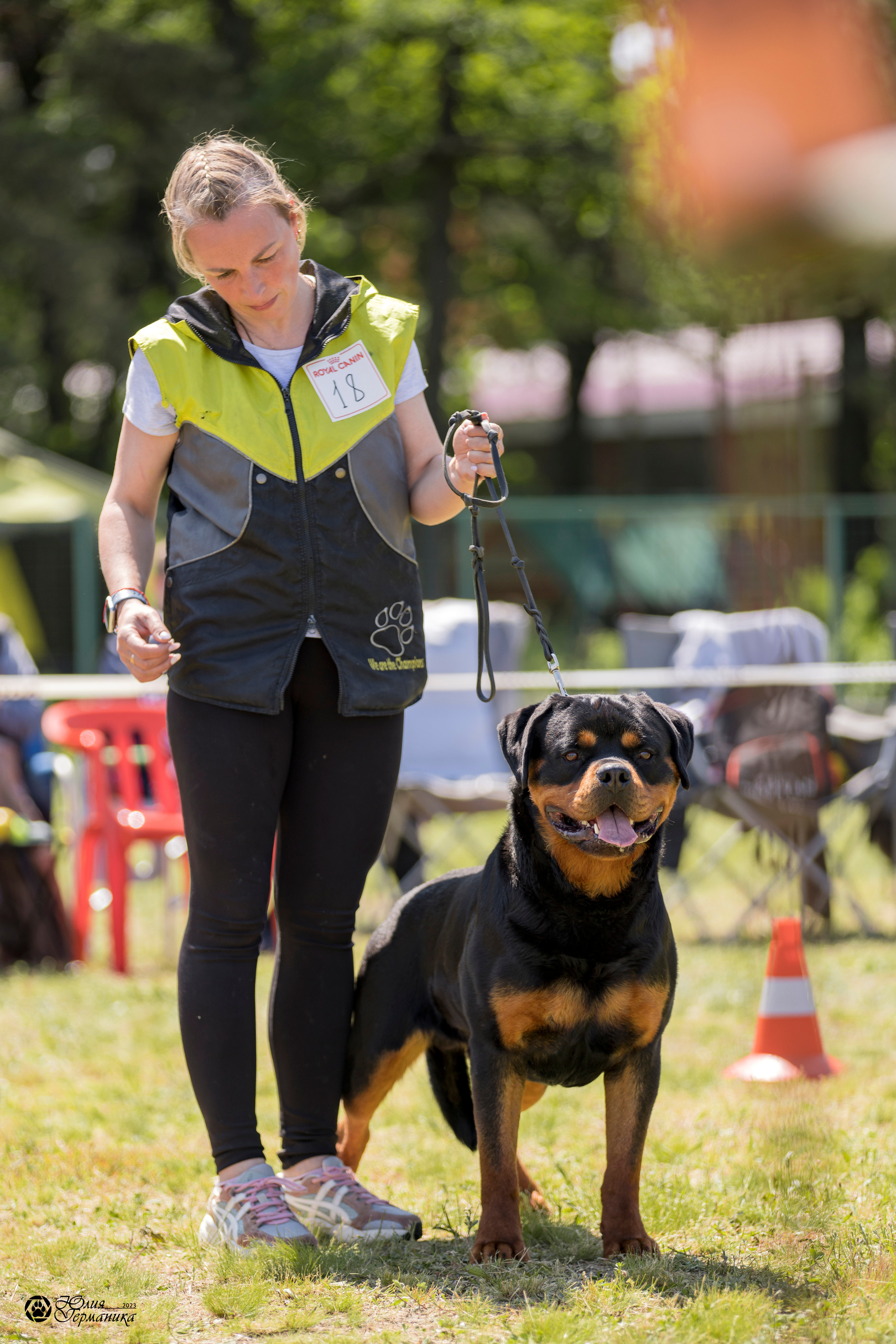 Воронеж 2хмоно ротвейлеров 3-4.06.2023. Фотограф-анималист Юлия Германика