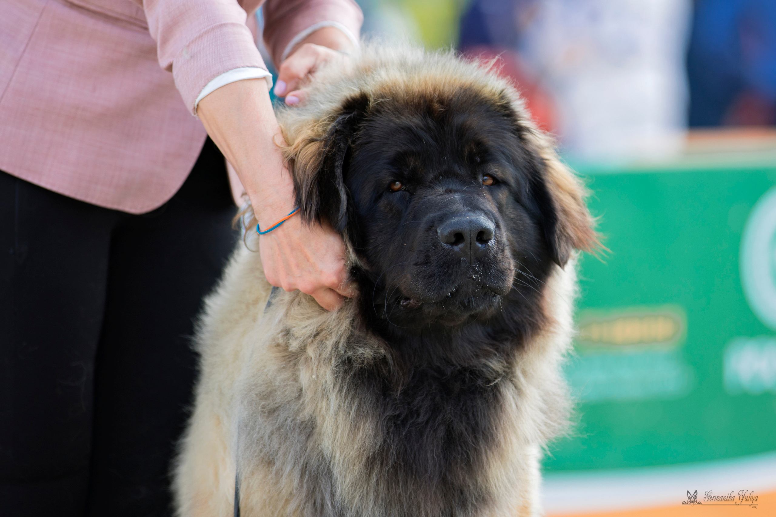 Россия 10-11.06.2023. Фотограф-анималист Юлия Германика
