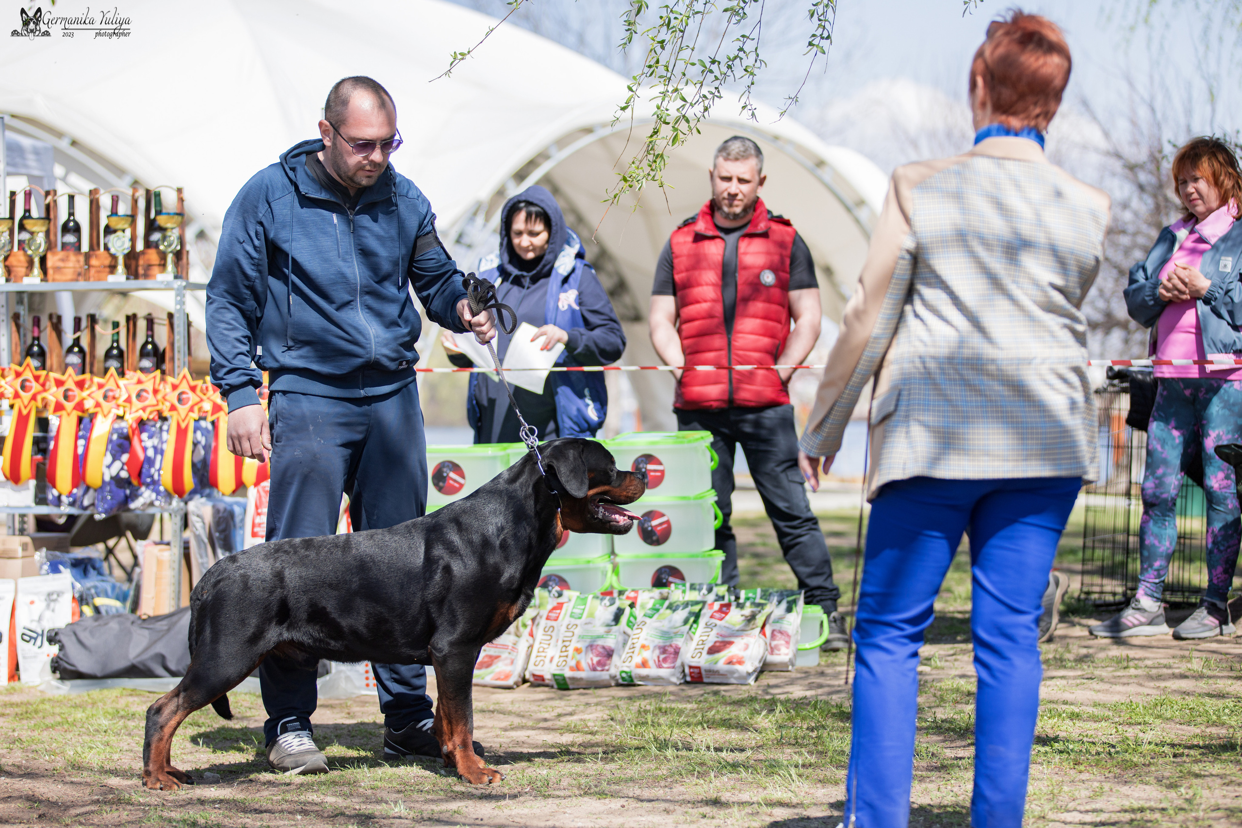 Саратов 2хмоно ротвейлеров 22-23.04.2023. Фотограф-анималист Юлия Германика