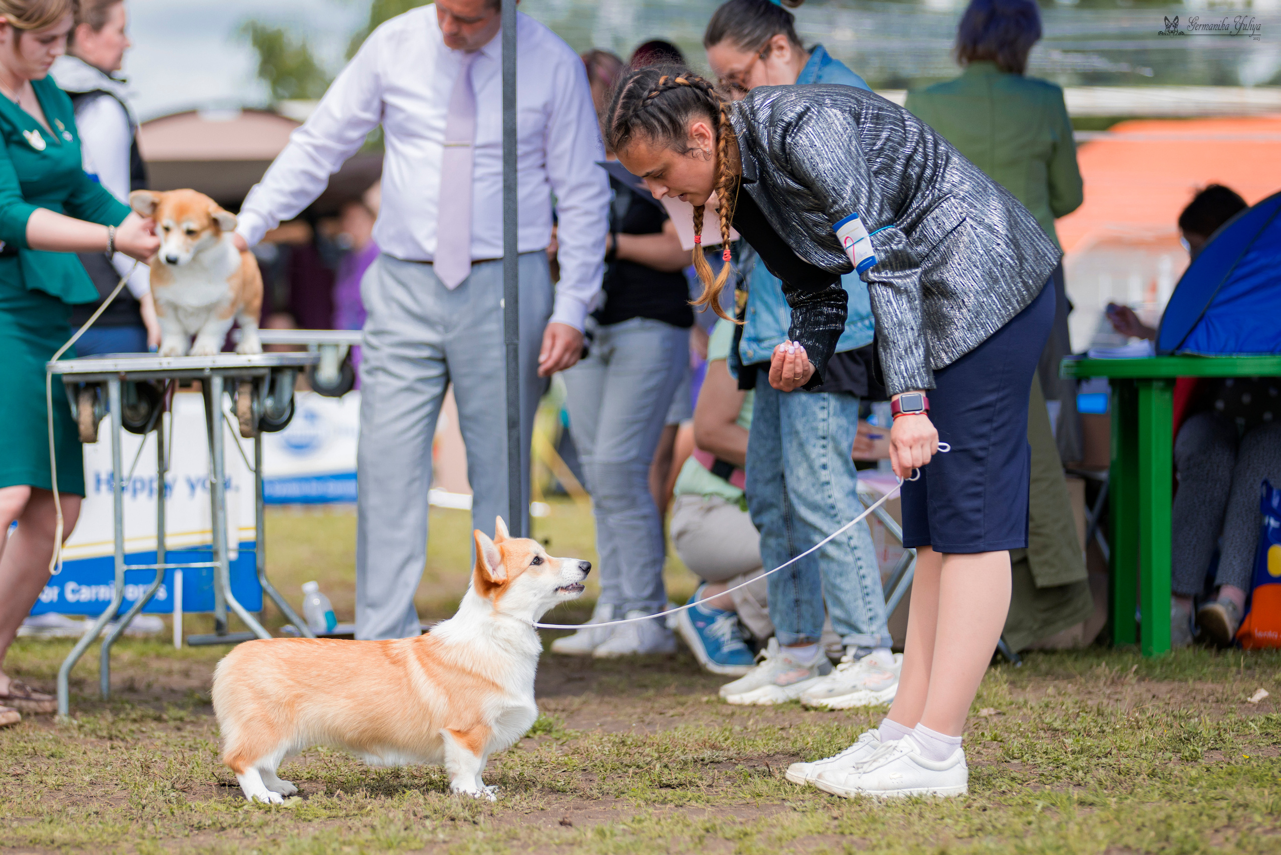 Владимир 1-2.07.2023. Фотограф-анималист Юлия Германика