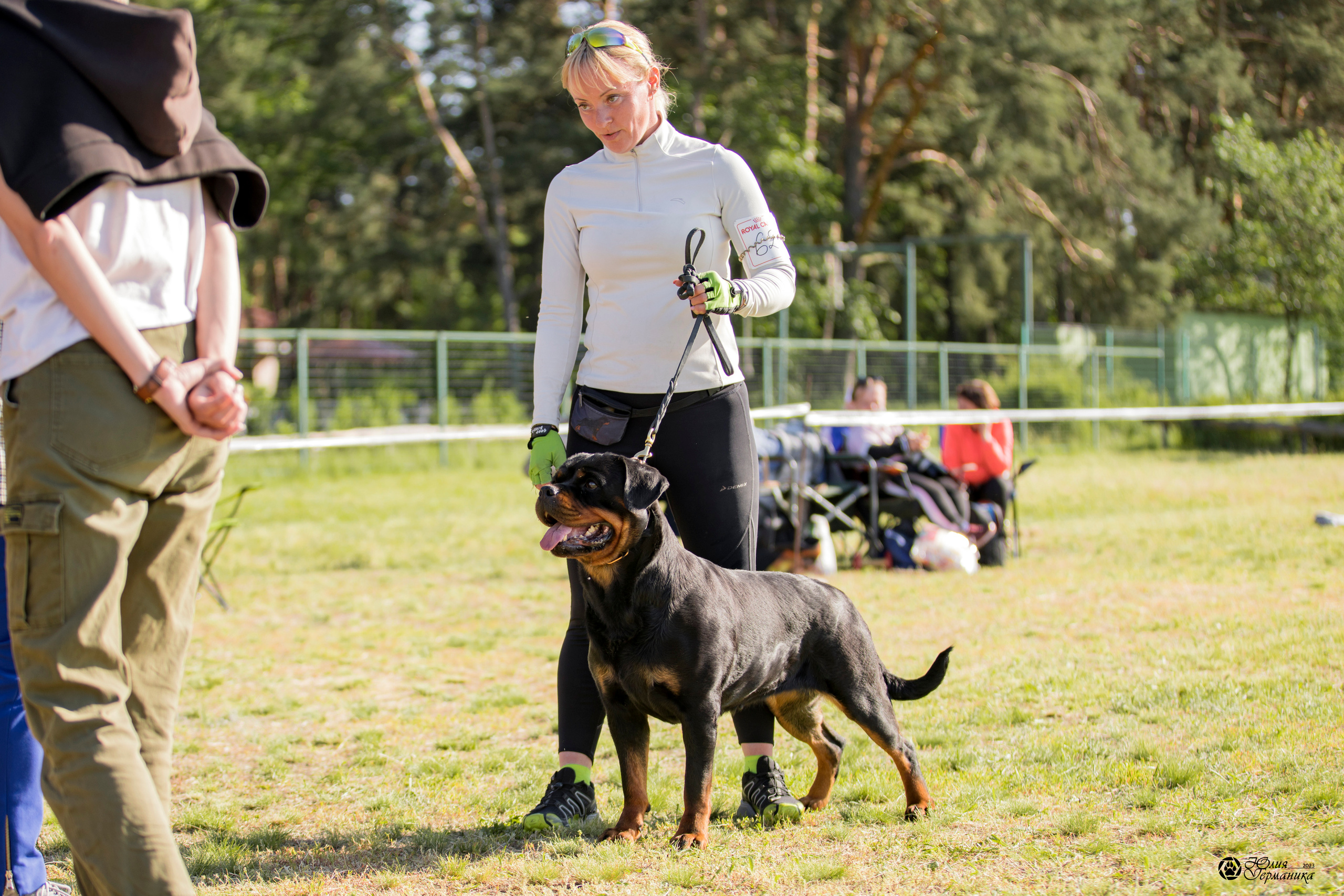 Воронеж 2хмоно ротвейлеров 3-4.06.2023. Фотограф-анималист Юлия Германика