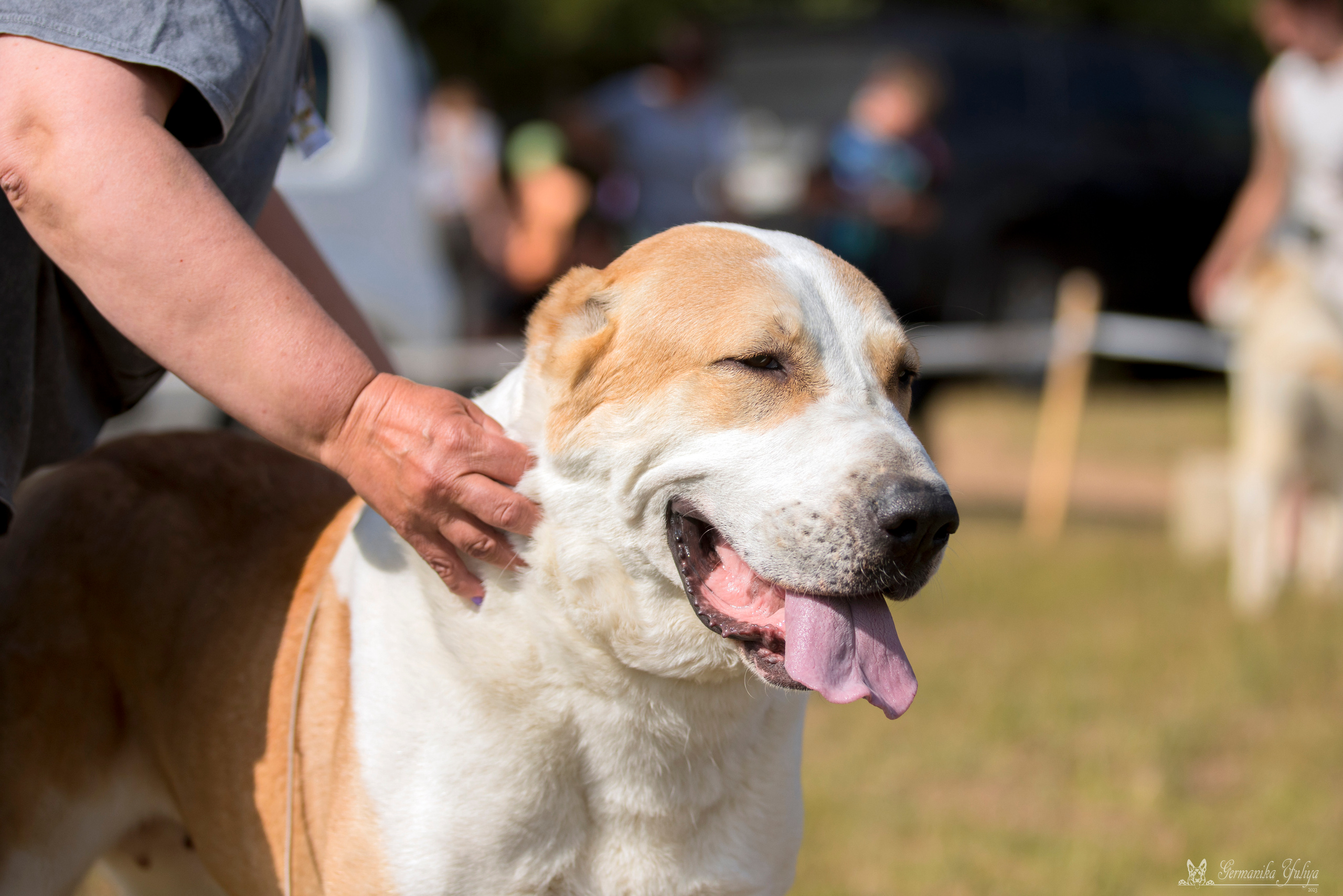Волжанка 8.07.2023. Фотограф-анималист Юлия Германика