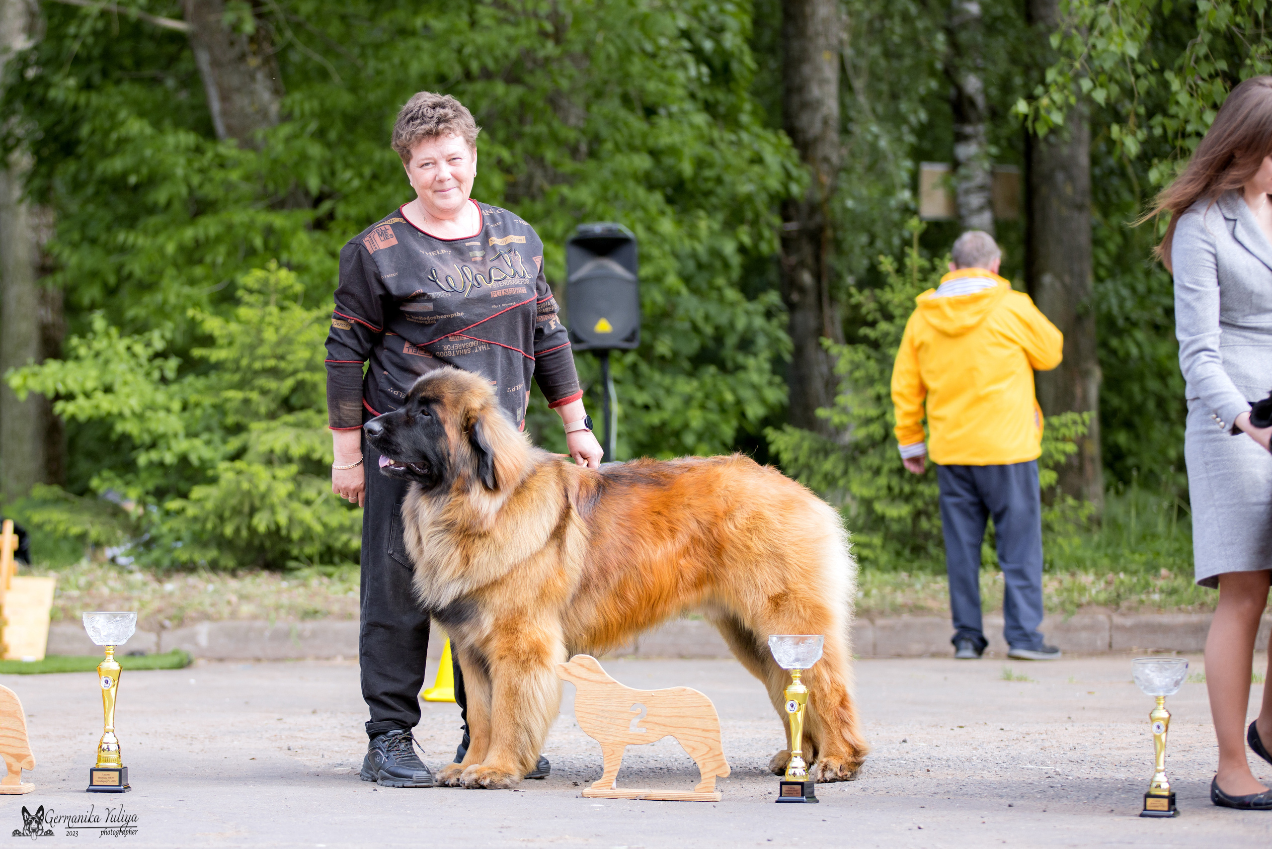 Националка Леонбергеров 28.05.2023. Фотограф-анималист Юлия Германика