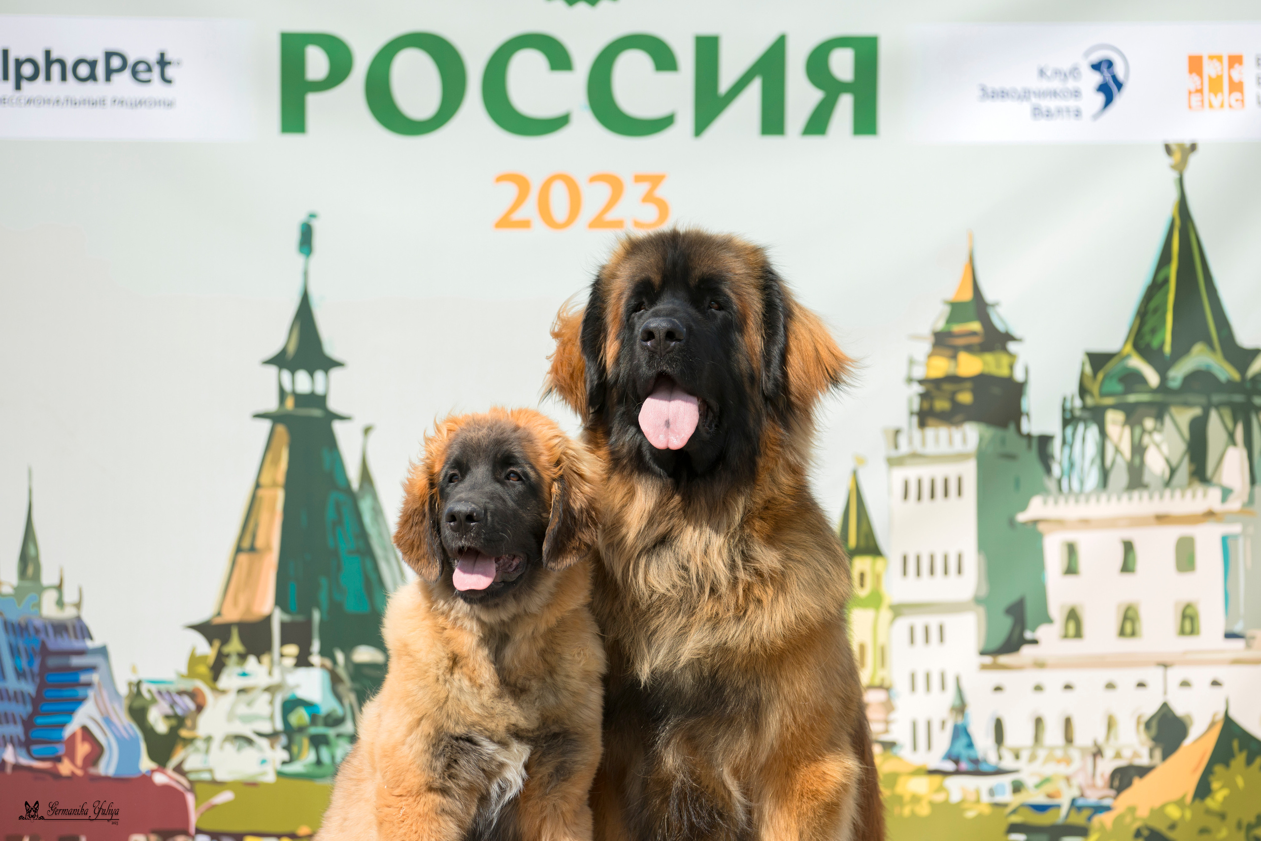 Россия 10-11.06.2023. Фотограф-анималист Юлия Германика