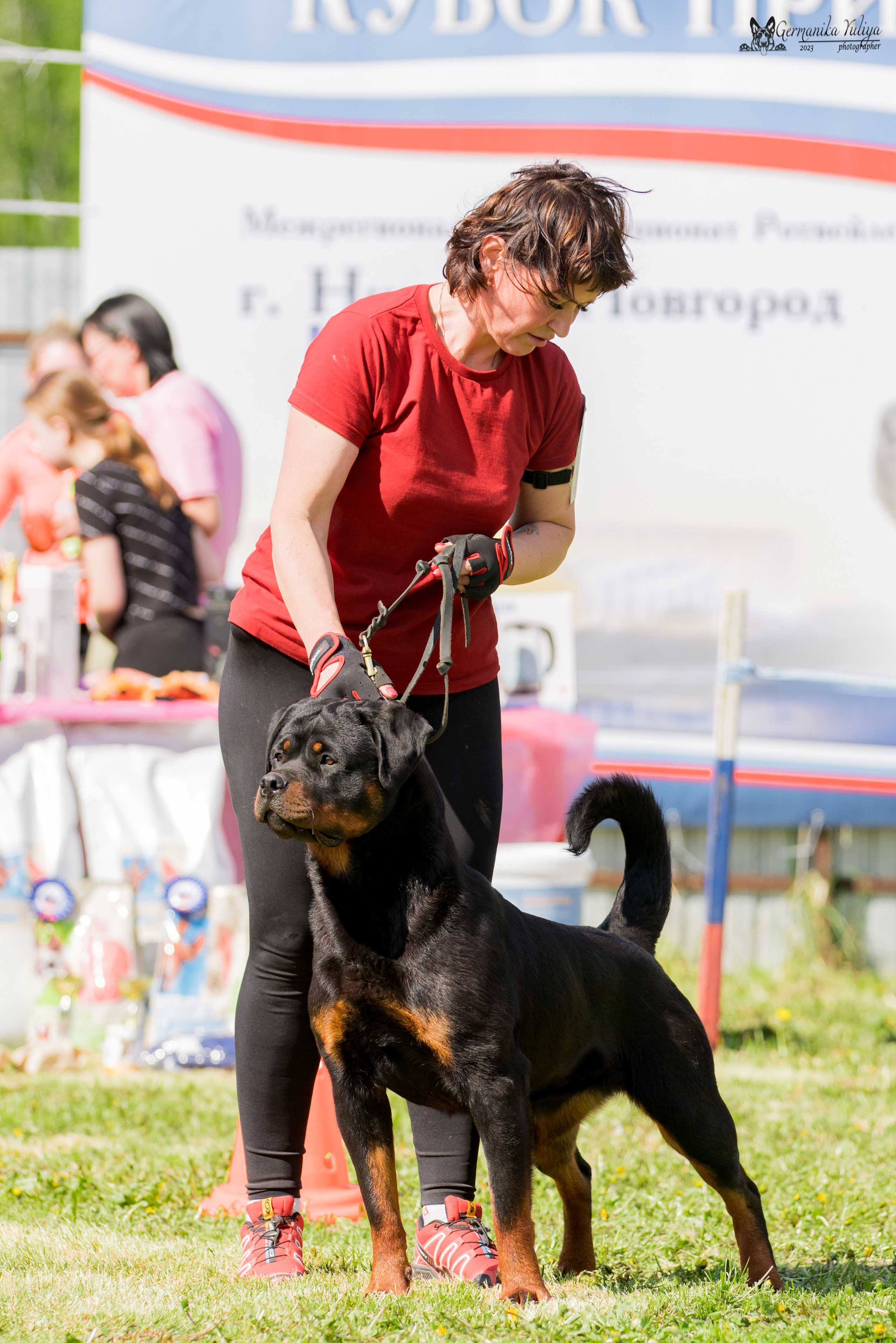 Нижний Новгород моно ротвейлеров 13.05.2023. Фотограф-анималист Юлия Германика