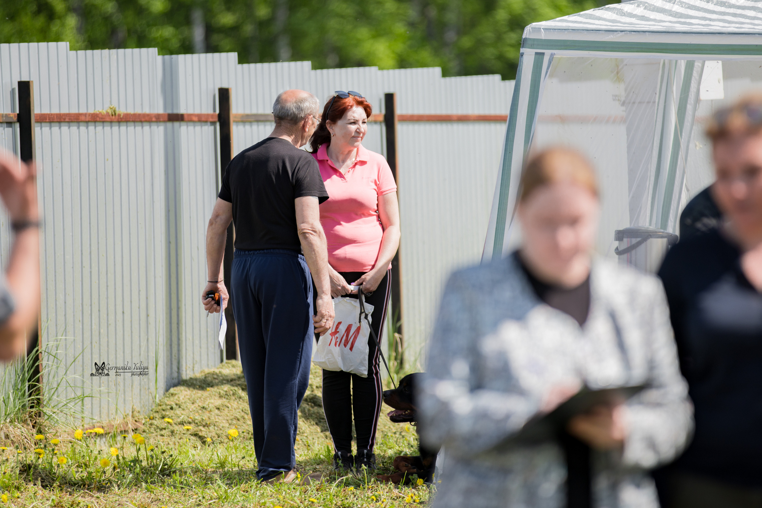 Нижний Новгород моно ротвейлеров 13.05.2023. Фотограф-анималист Юлия Германика