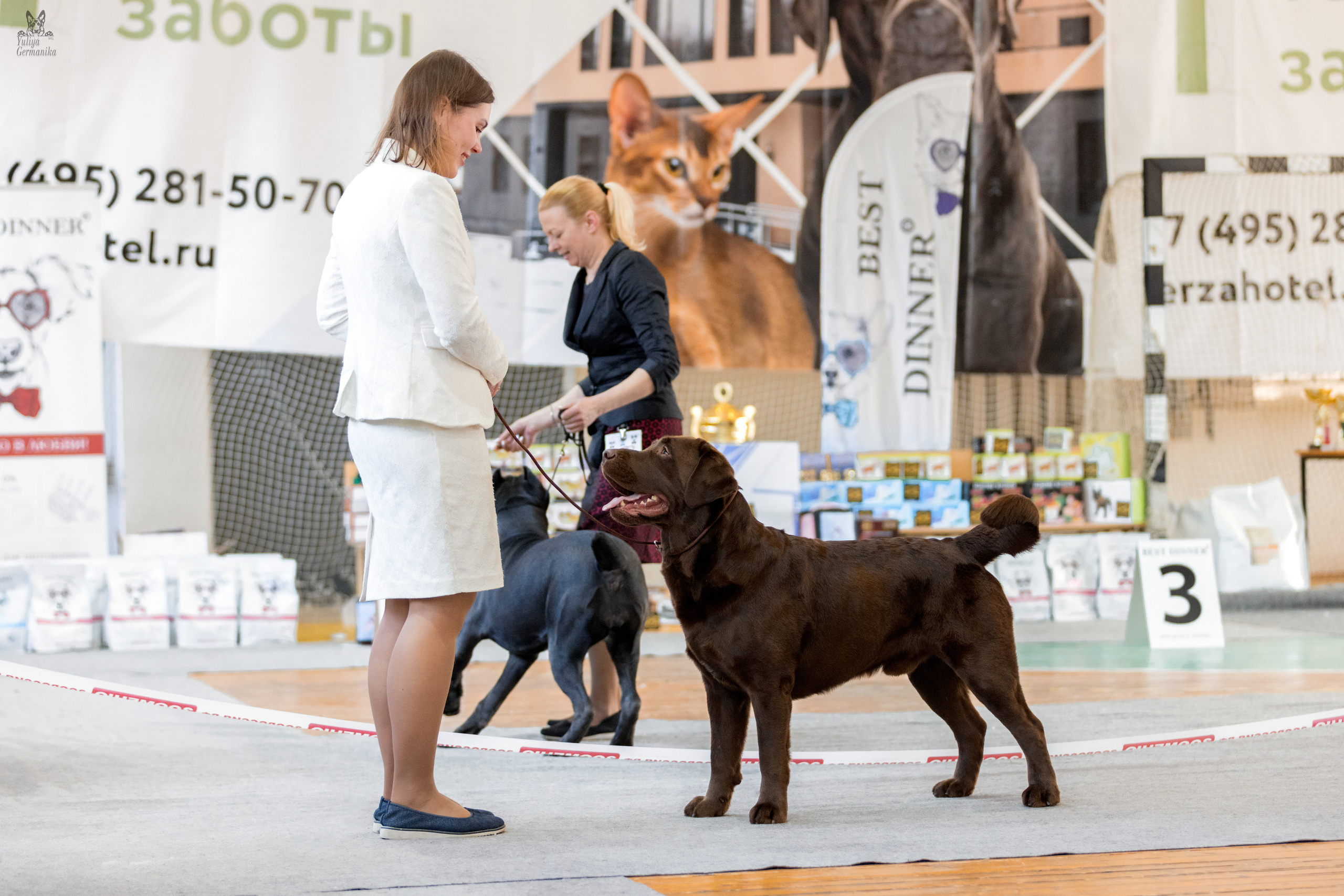 Тверь 01.04.2023. Фотограф-анималист Юлия Германика