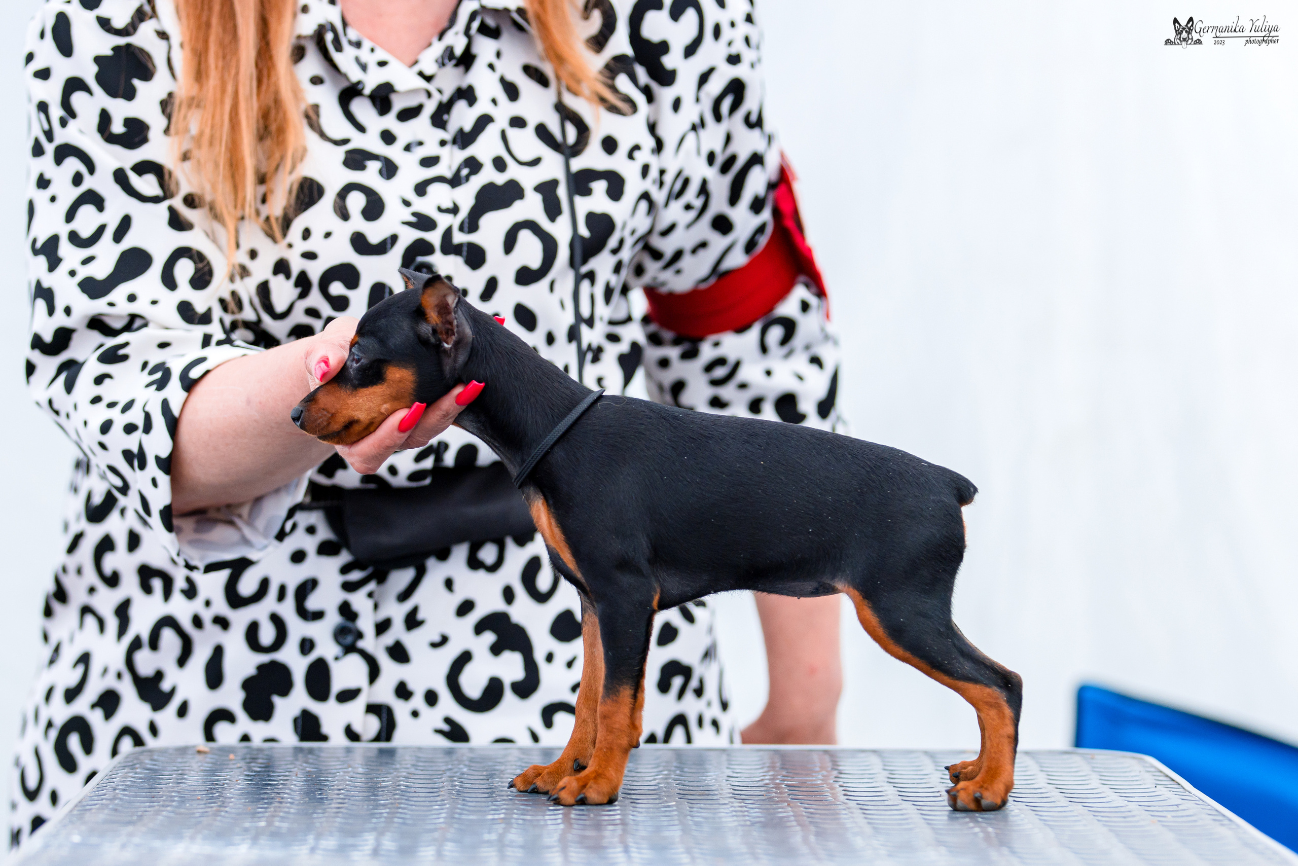 Измайлово 21.05.2023. Фотограф-анималист Юлия Германика