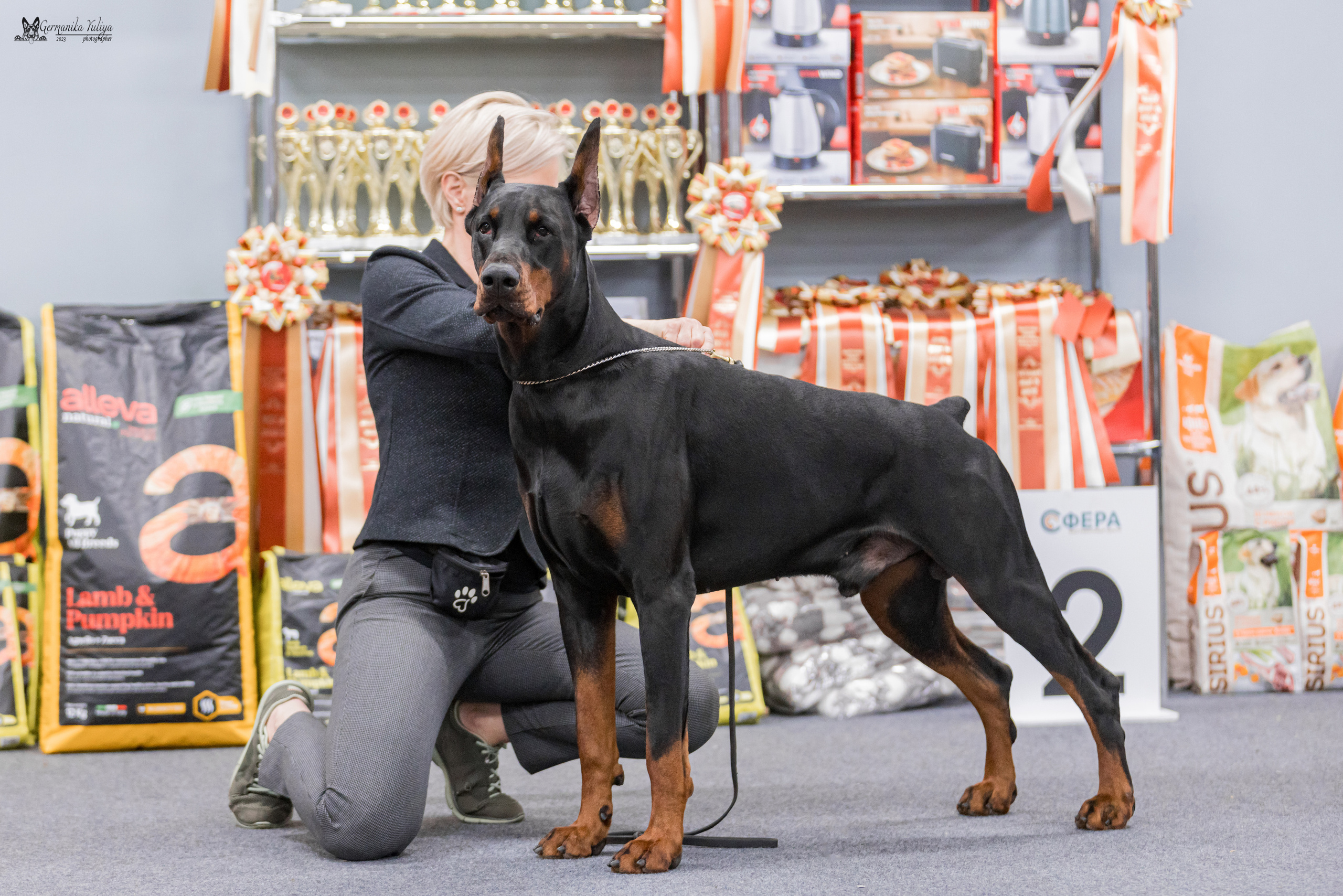 Сфера+доберманы 02.04.2023. Фотограф-анималист Юлия Германика