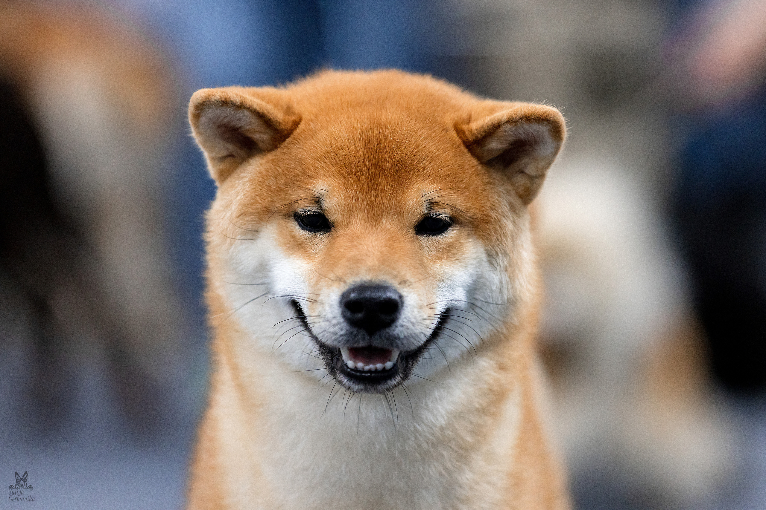 Сфера 25-26.03.2023. Фотограф-анималист Юлия Германика