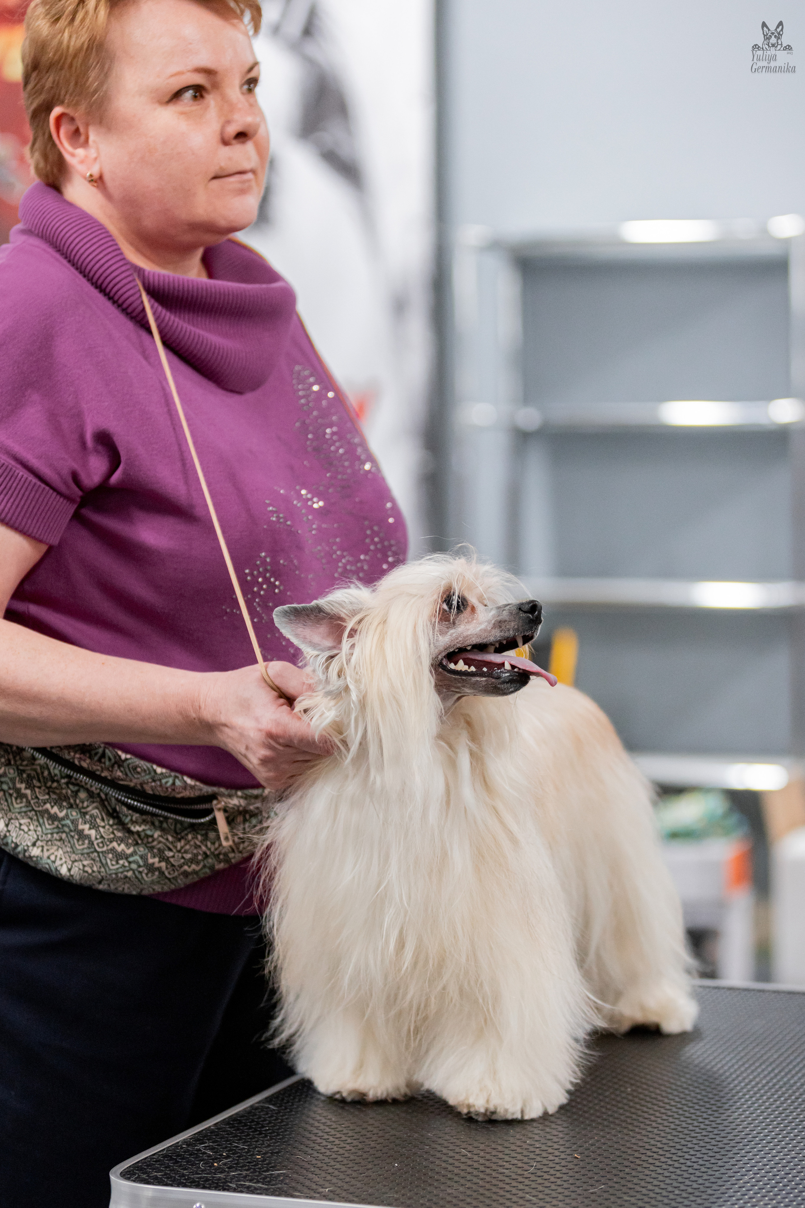 Сфера+доберманы 02.04.2023. Фотограф-анималист Юлия Германика