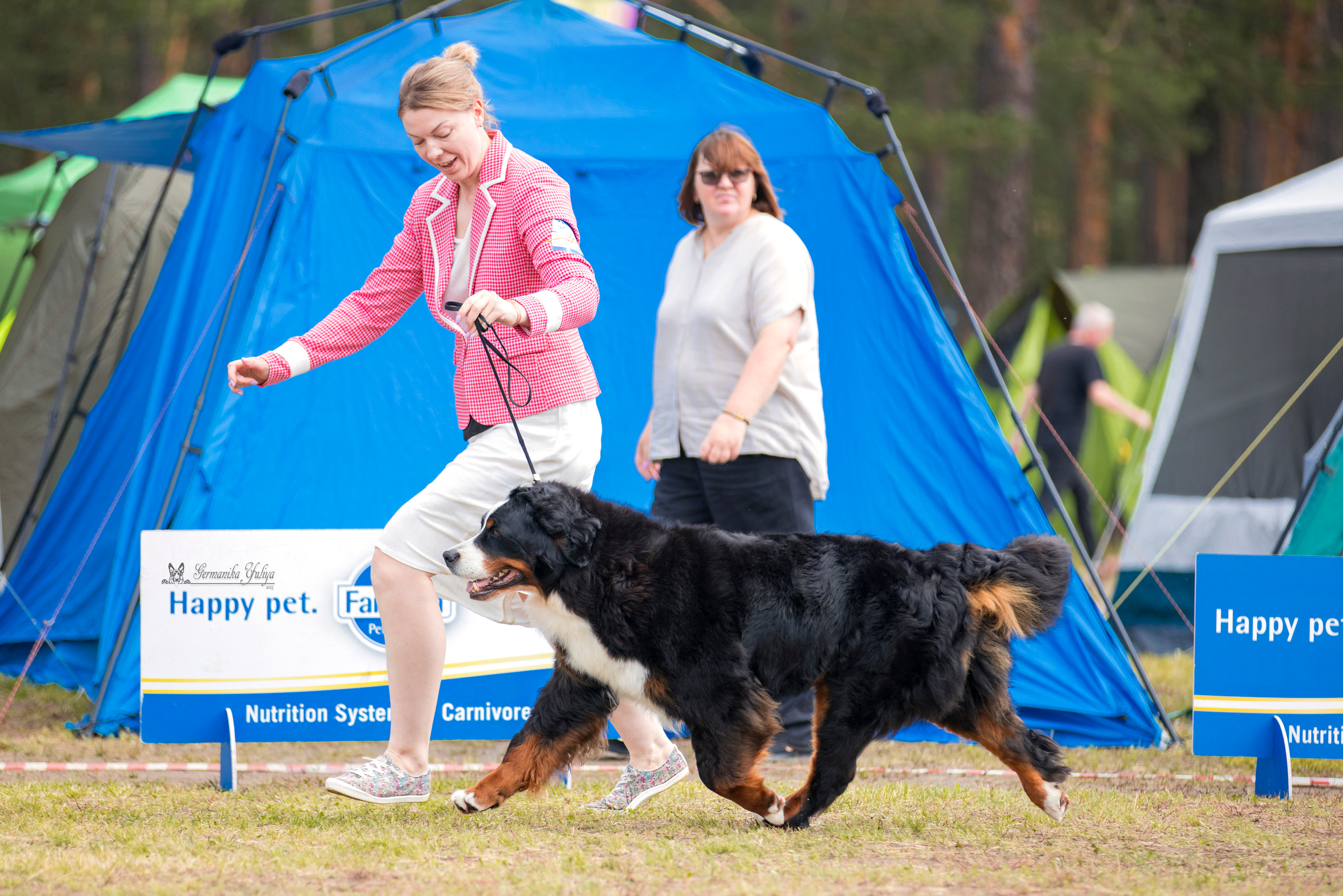 Владимир 1-2.07.2023. Фотограф-анималист Юлия Германика