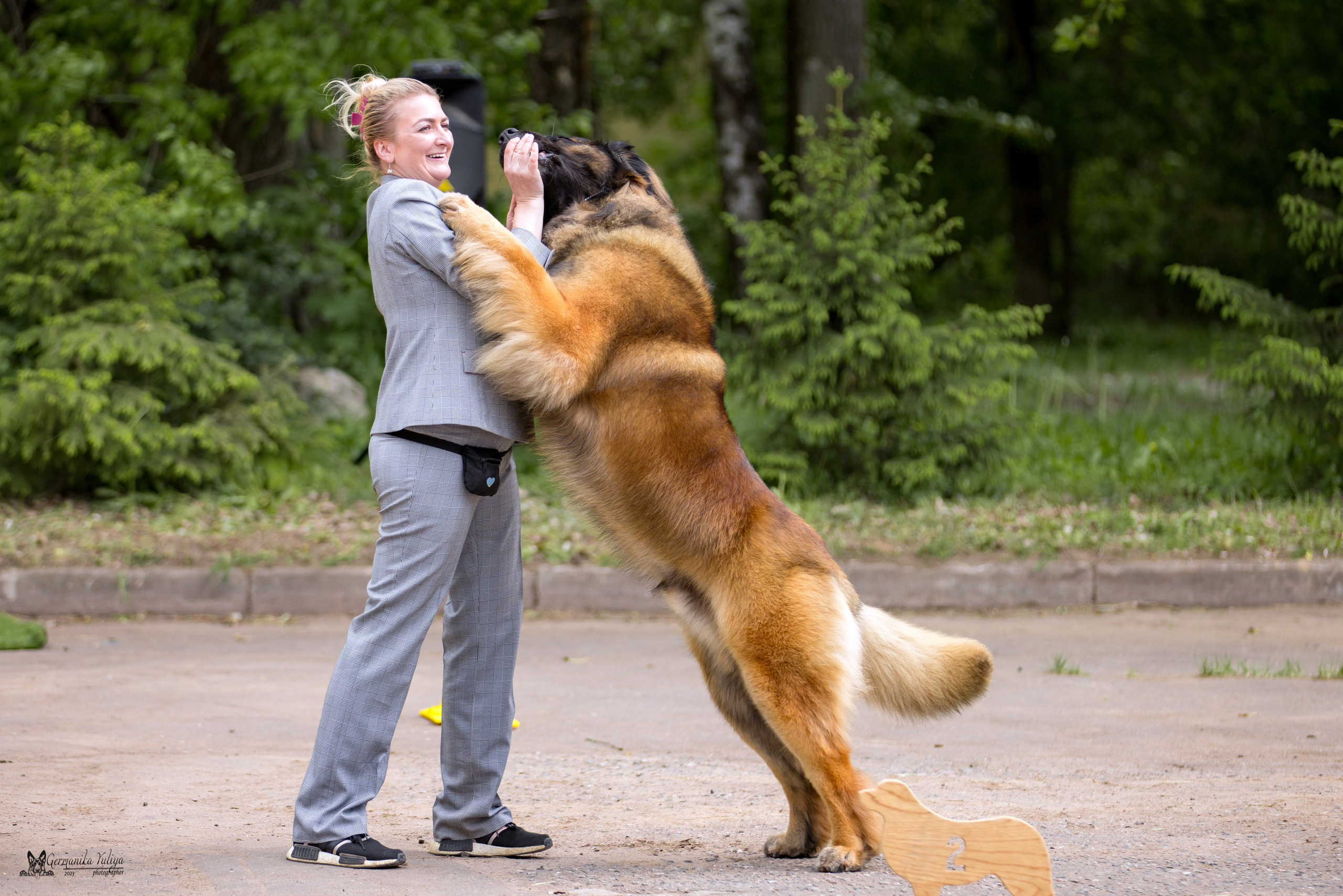 Националка Леонбергеров 28.05.2023. Фотограф-анималист Юлия Германика