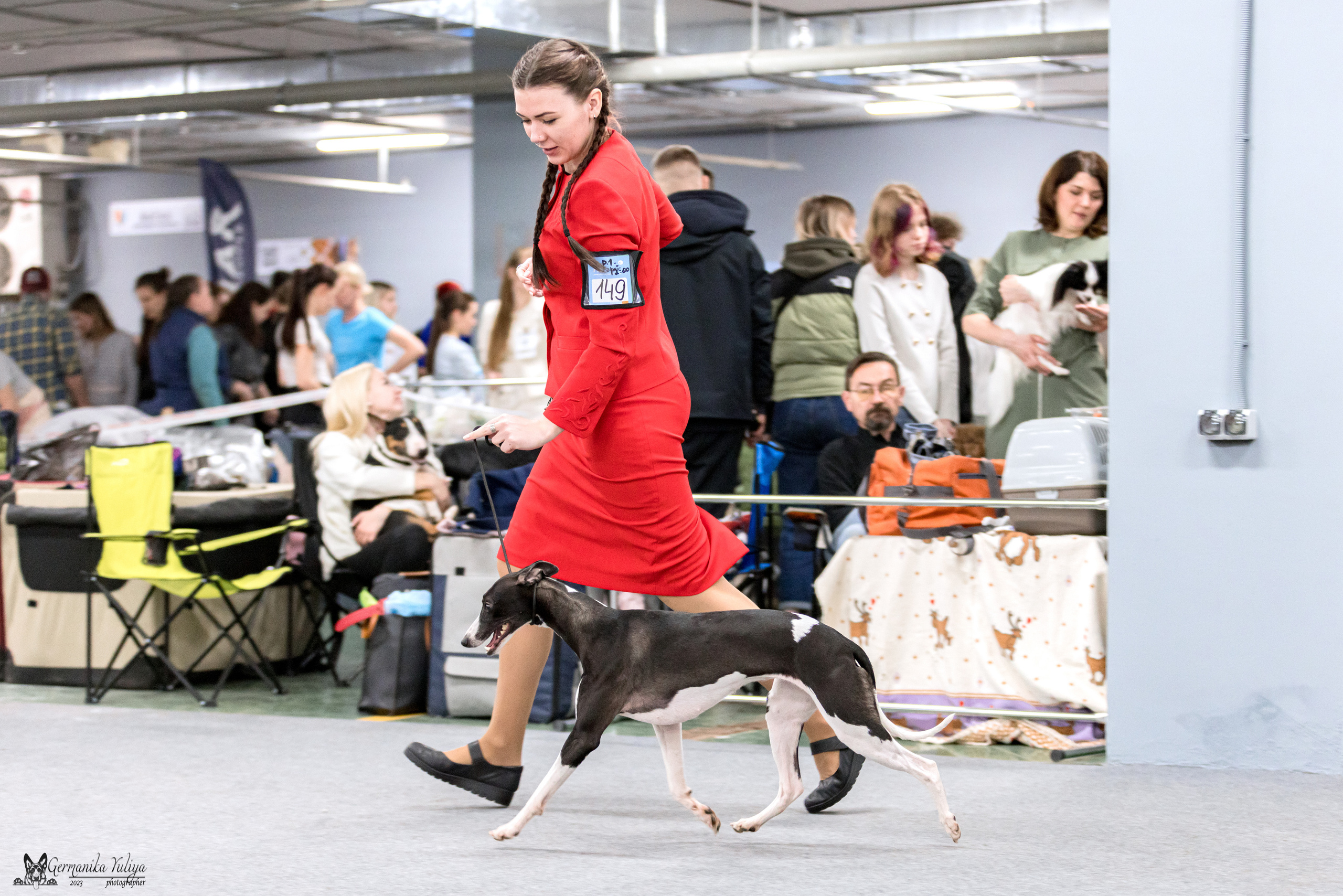 Сфера+МД 8-9.04.2023. Фотограф-анималист Юлия Германика