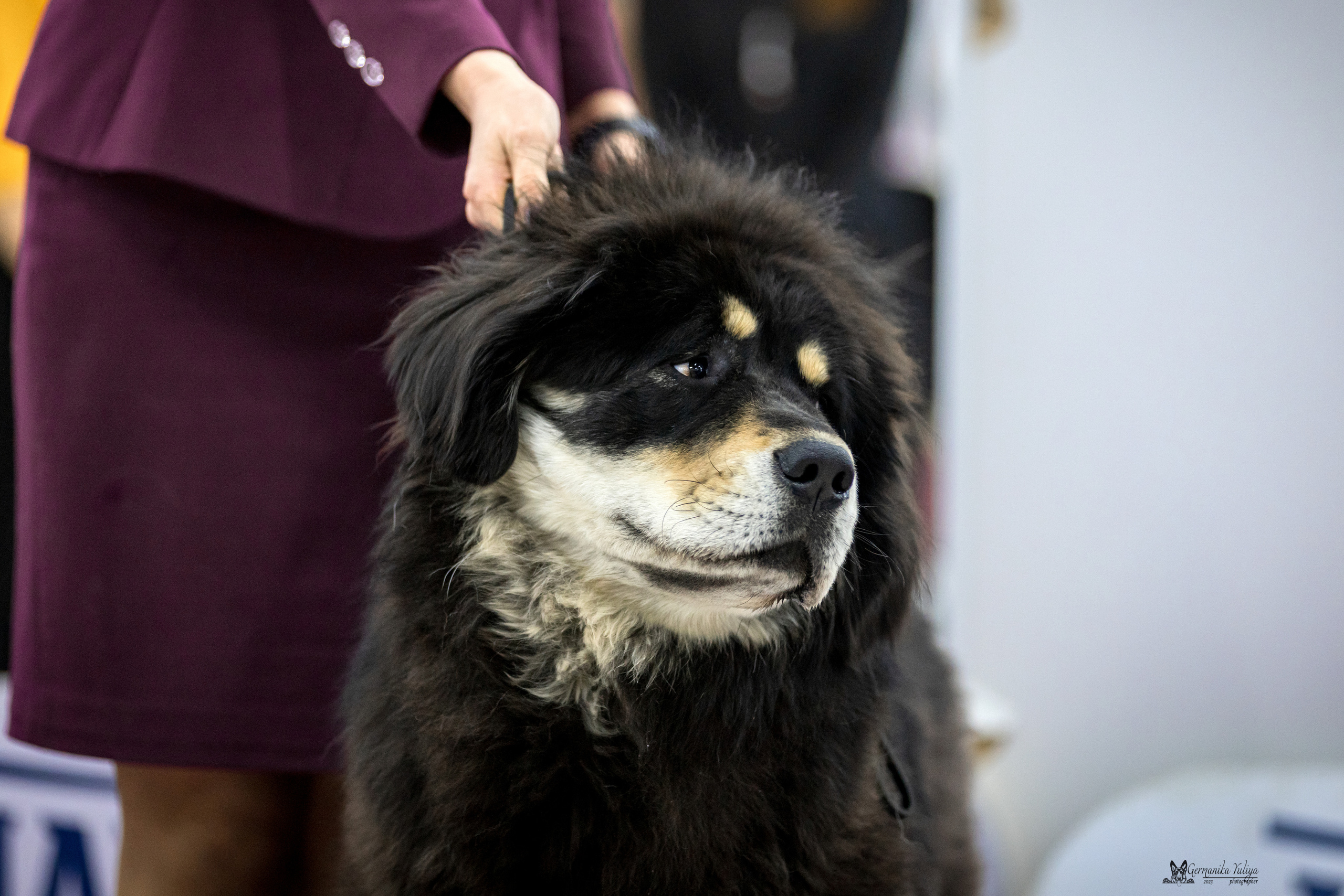 Сфера+МД 8-9.04.2023. Фотограф-анималист Юлия Германика