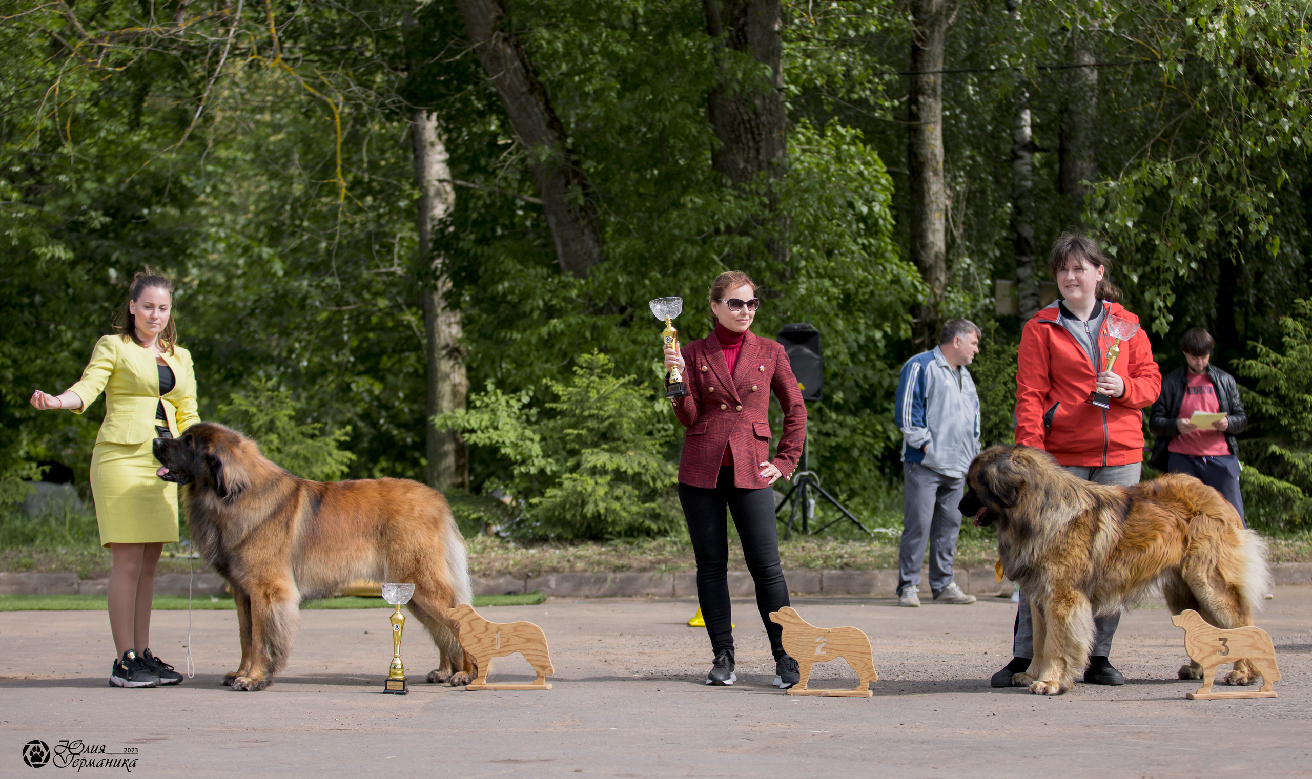 Националка Леонбергеров 28.05.2023. Фотограф-анималист Юлия Германика