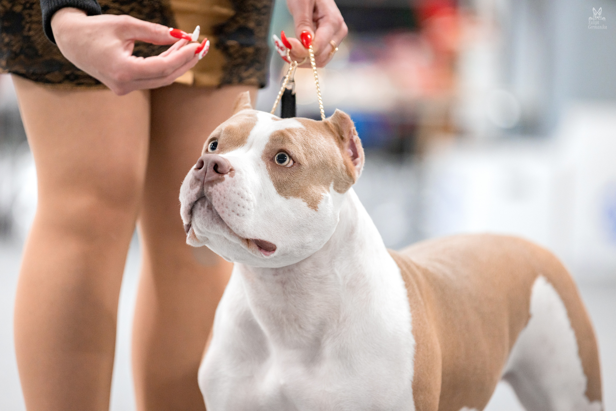 Сфера 25-26.03.2023. Фотограф-анималист Юлия Германика