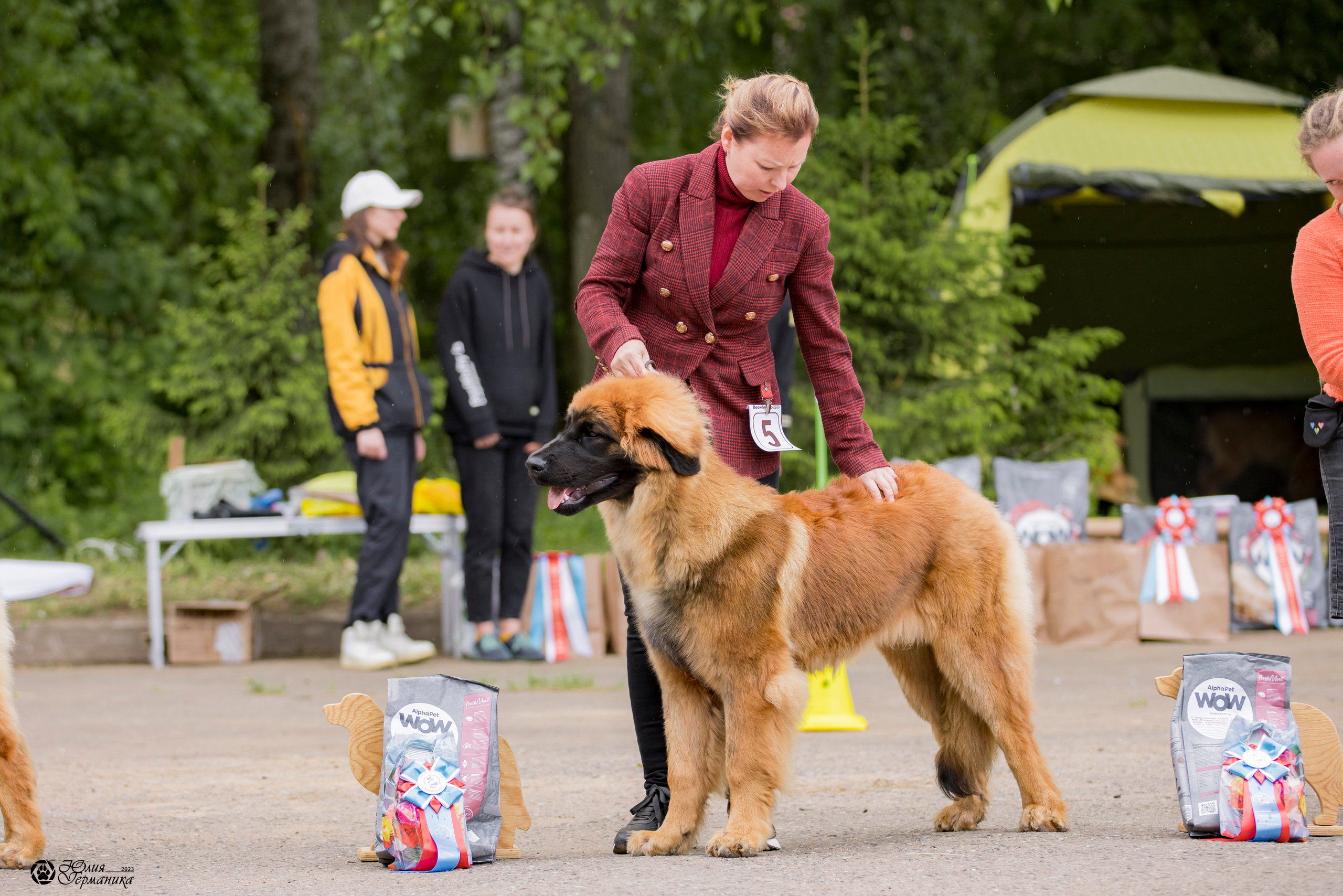 Националка Леонбергеров 28.05.2023. Фотограф-анималист Юлия Германика