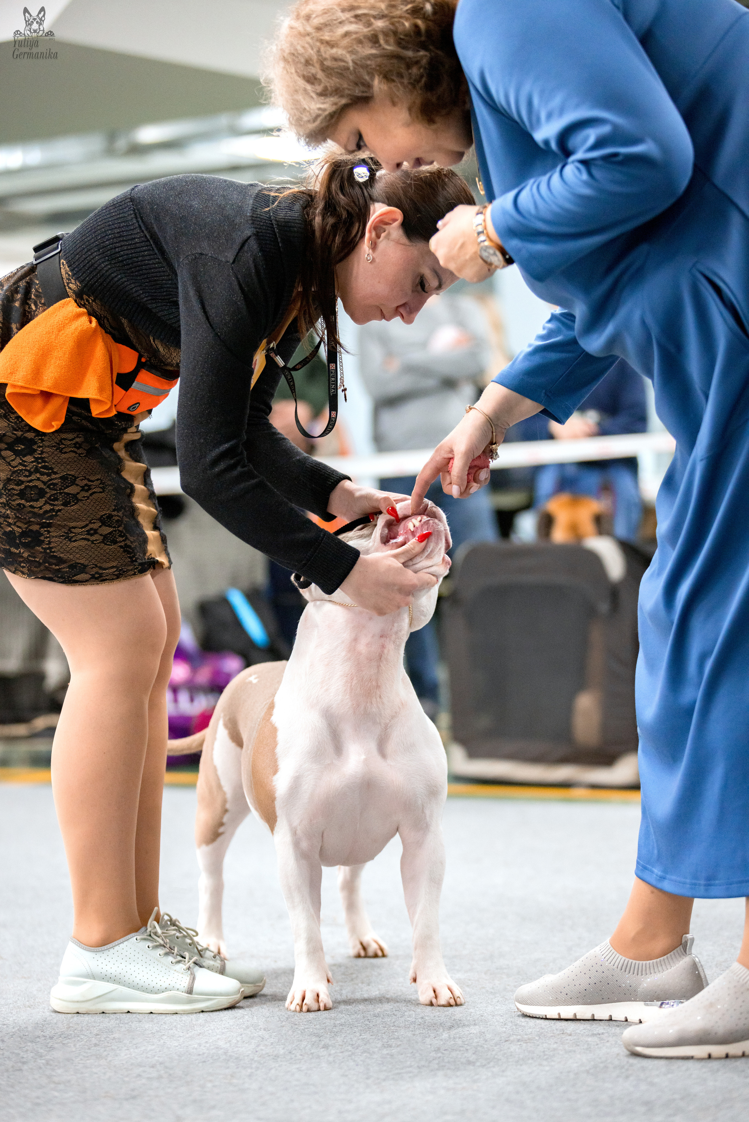 Сфера 25-26.03.2023. Фотограф-анималист Юлия Германика