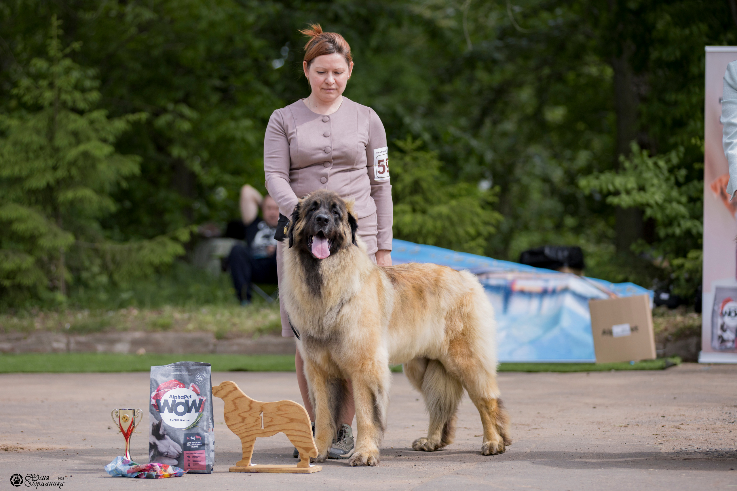 Националка Леонбергеров 28.05.2023. Фотограф-анималист Юлия Германика