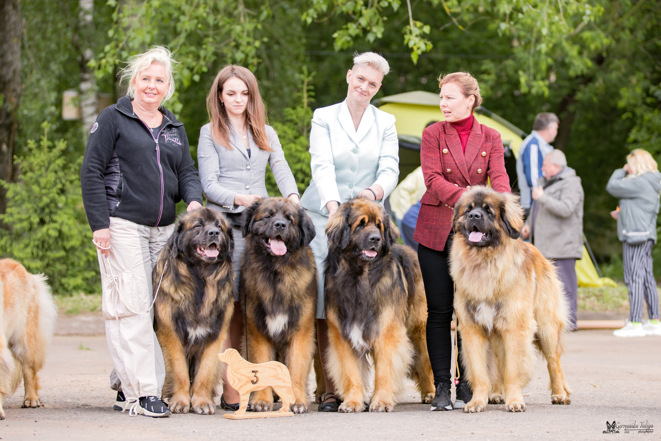 Националка Леонбергеров 28.05.2023. Фотограф-анималист Юлия Германика
