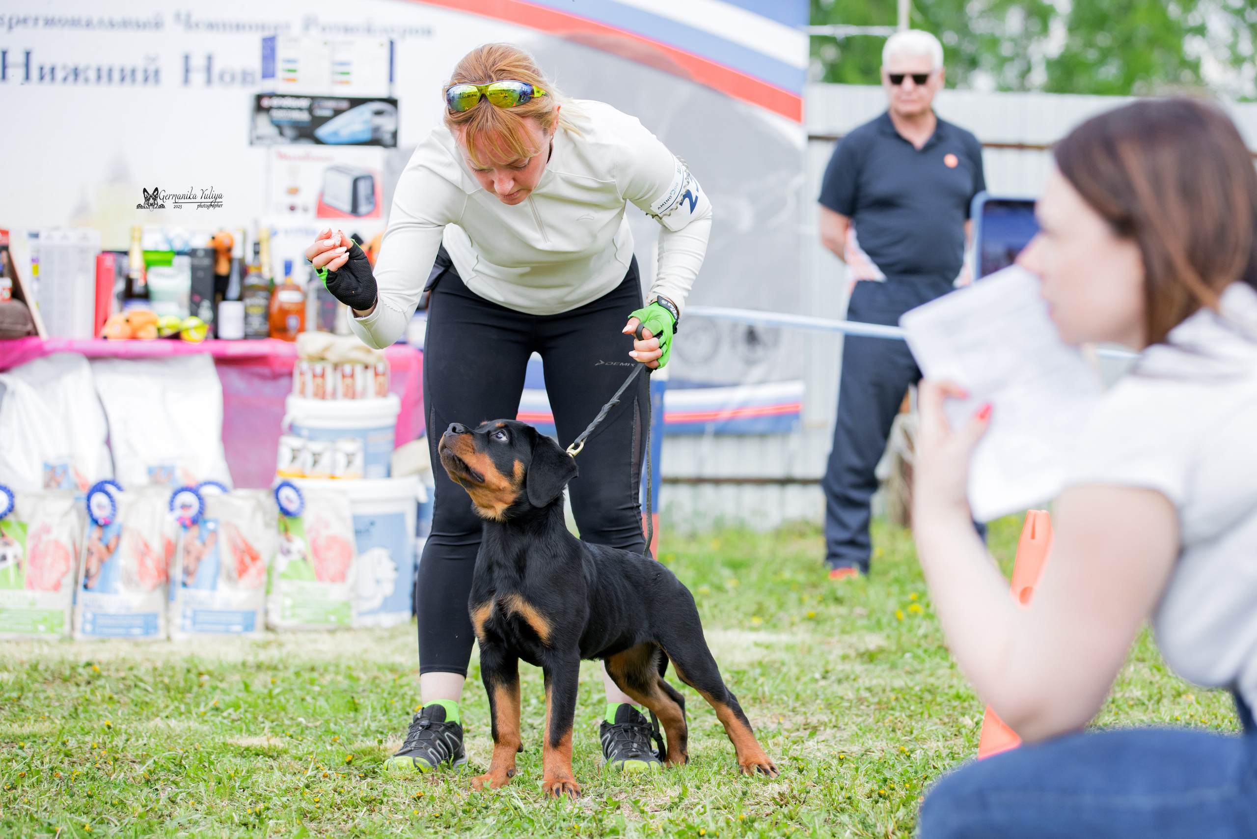 Нижний Новгород моно ротвейлеров 13.05.2023. Фотограф-анималист Юлия Германика