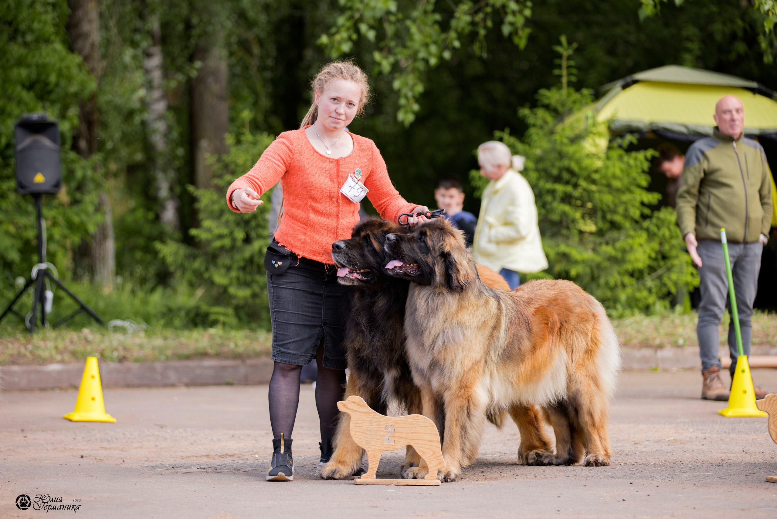 Националка Леонбергеров 28.05.2023. Фотограф-анималист Юлия Германика