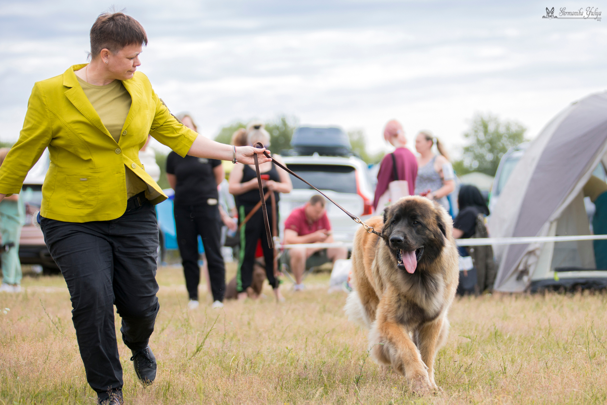 Волжанка 8.07.2023. Фотограф-анималист Юлия Германика