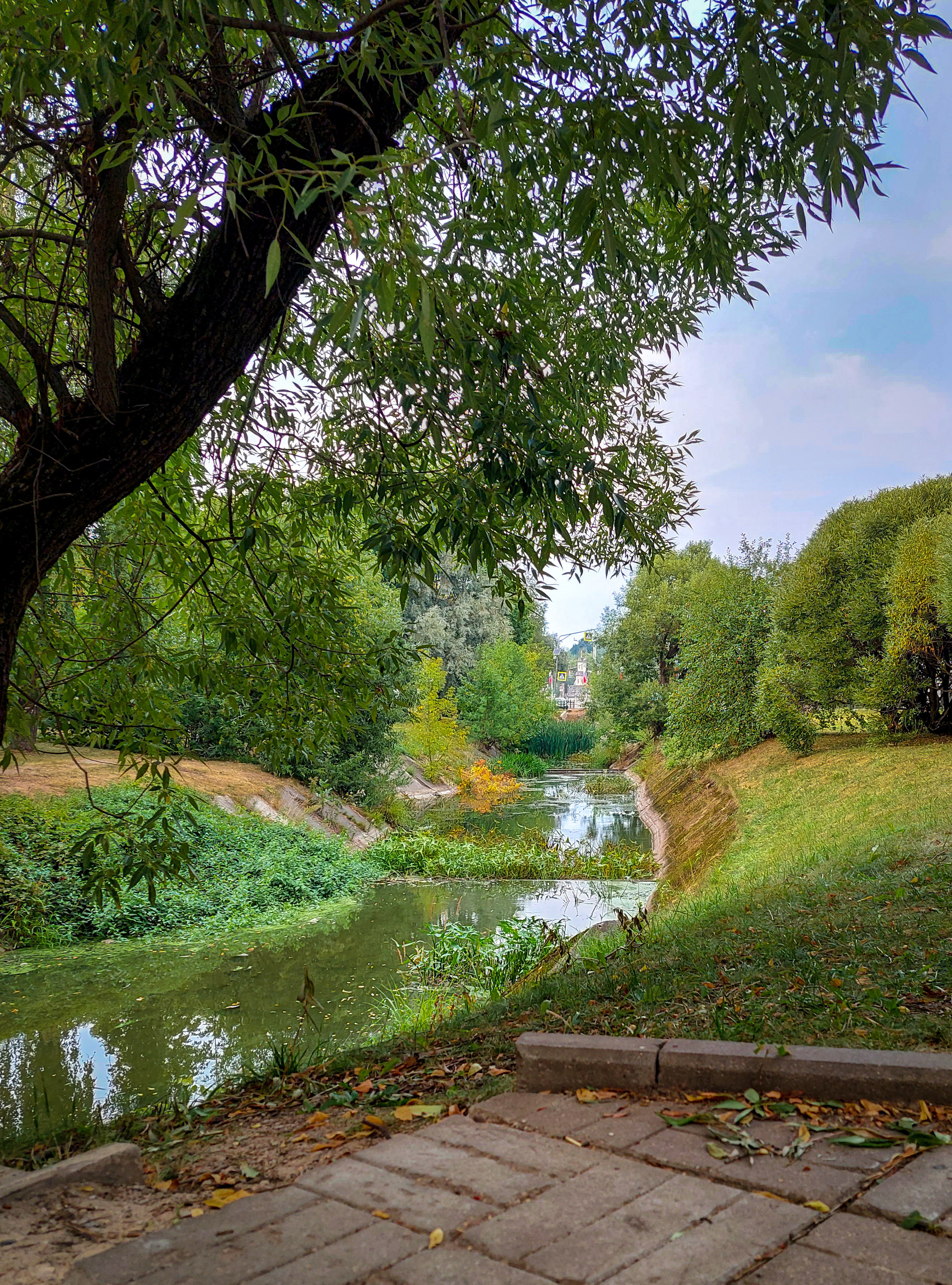 Разные фото на телефон.Города,природа. Фотограф-анималист Юлия Германика