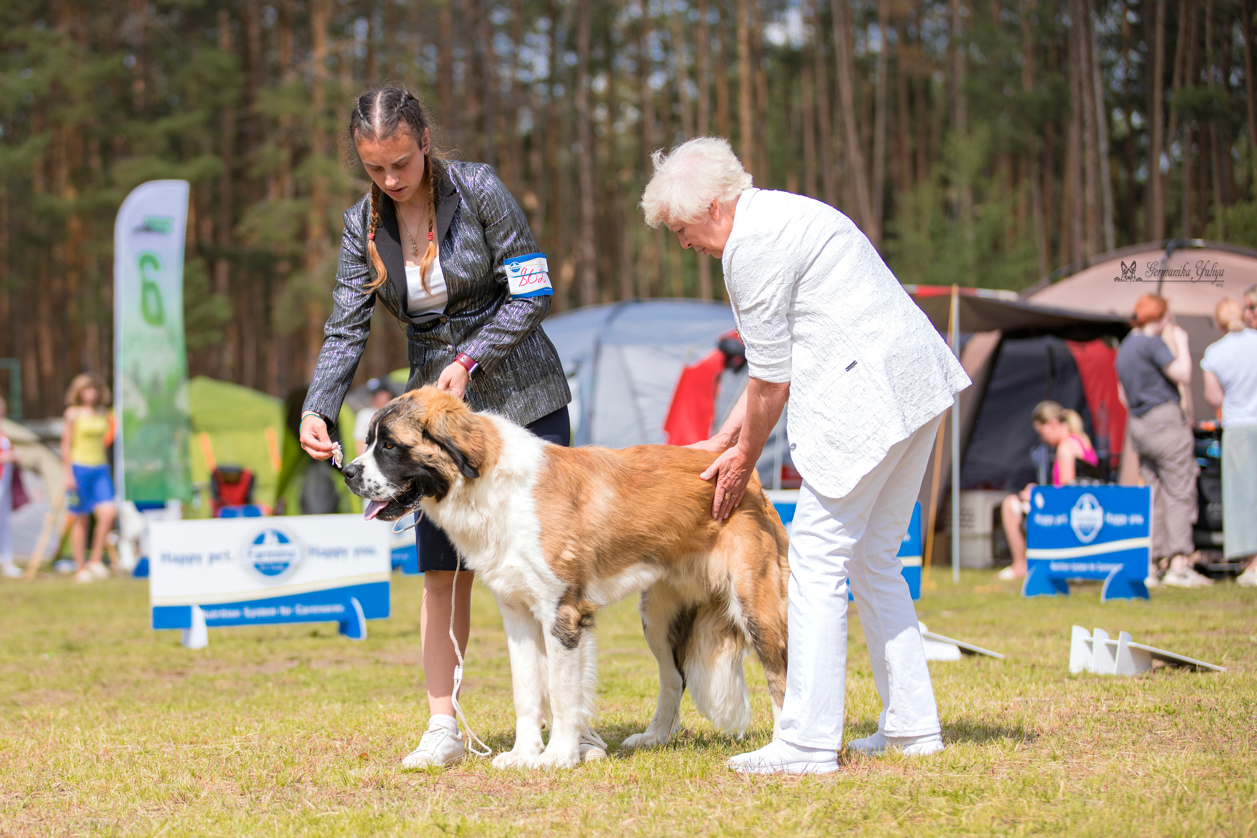 Владимир 1-2.07.2023. Фотограф-анималист Юлия Германика