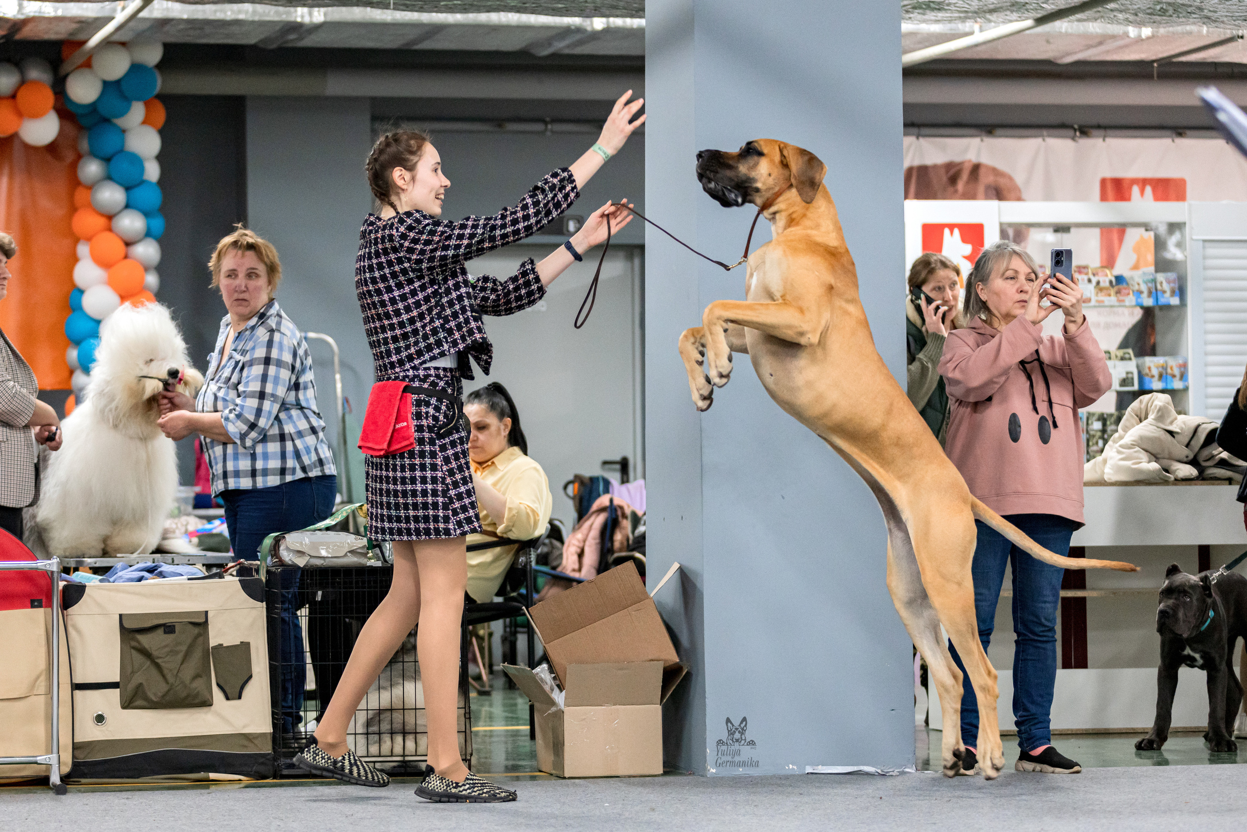 Сфера 25-26.03.2023. Фотограф-анималист Юлия Германика