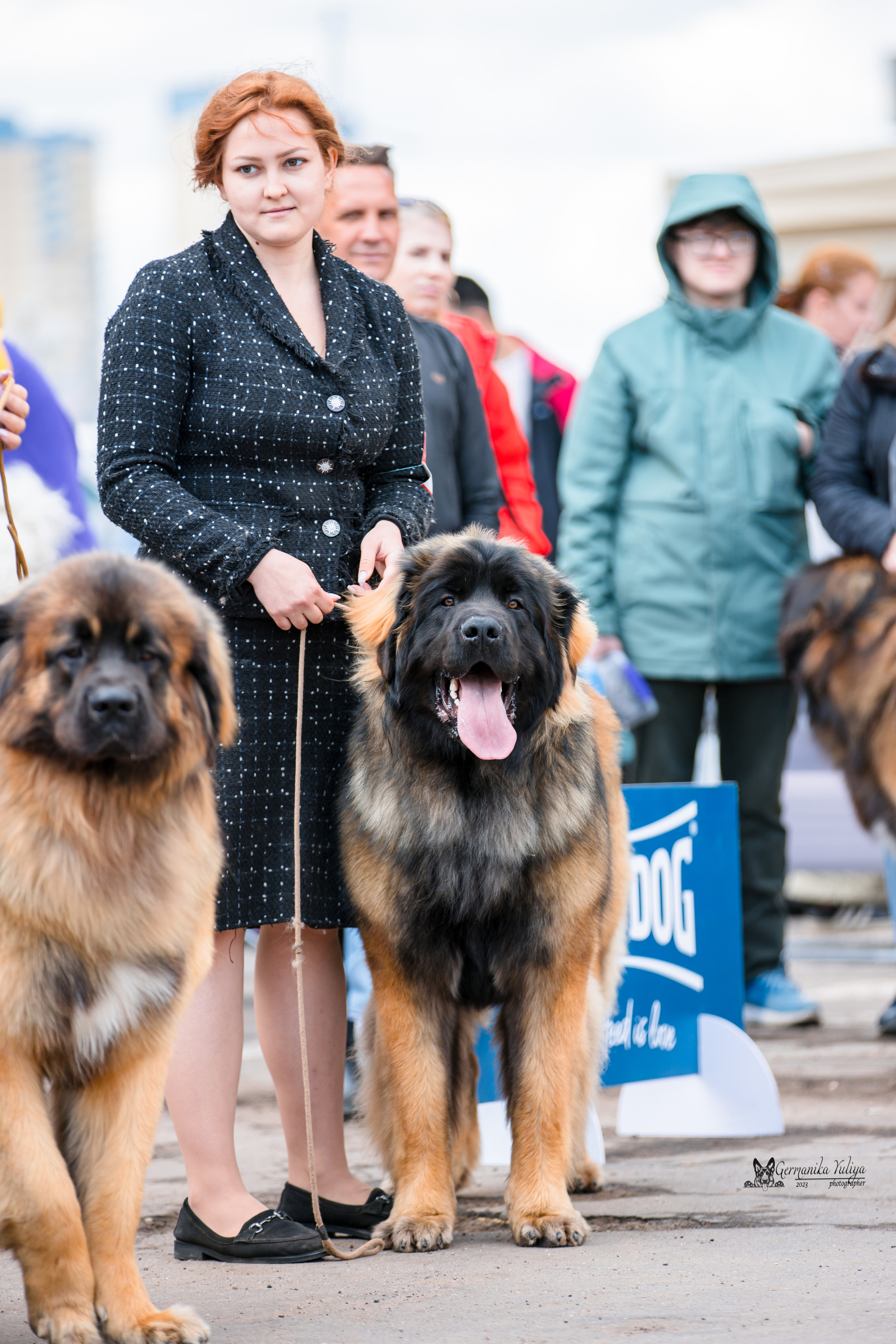 Измайлово 21.05.2023. Фотограф-анималист Юлия Германика