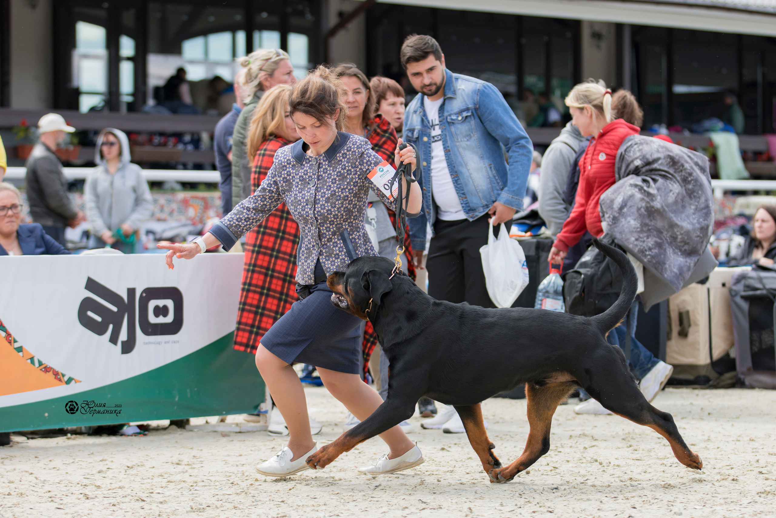 Россия 10-11.06.2023. Фотограф-анималист Юлия Германика