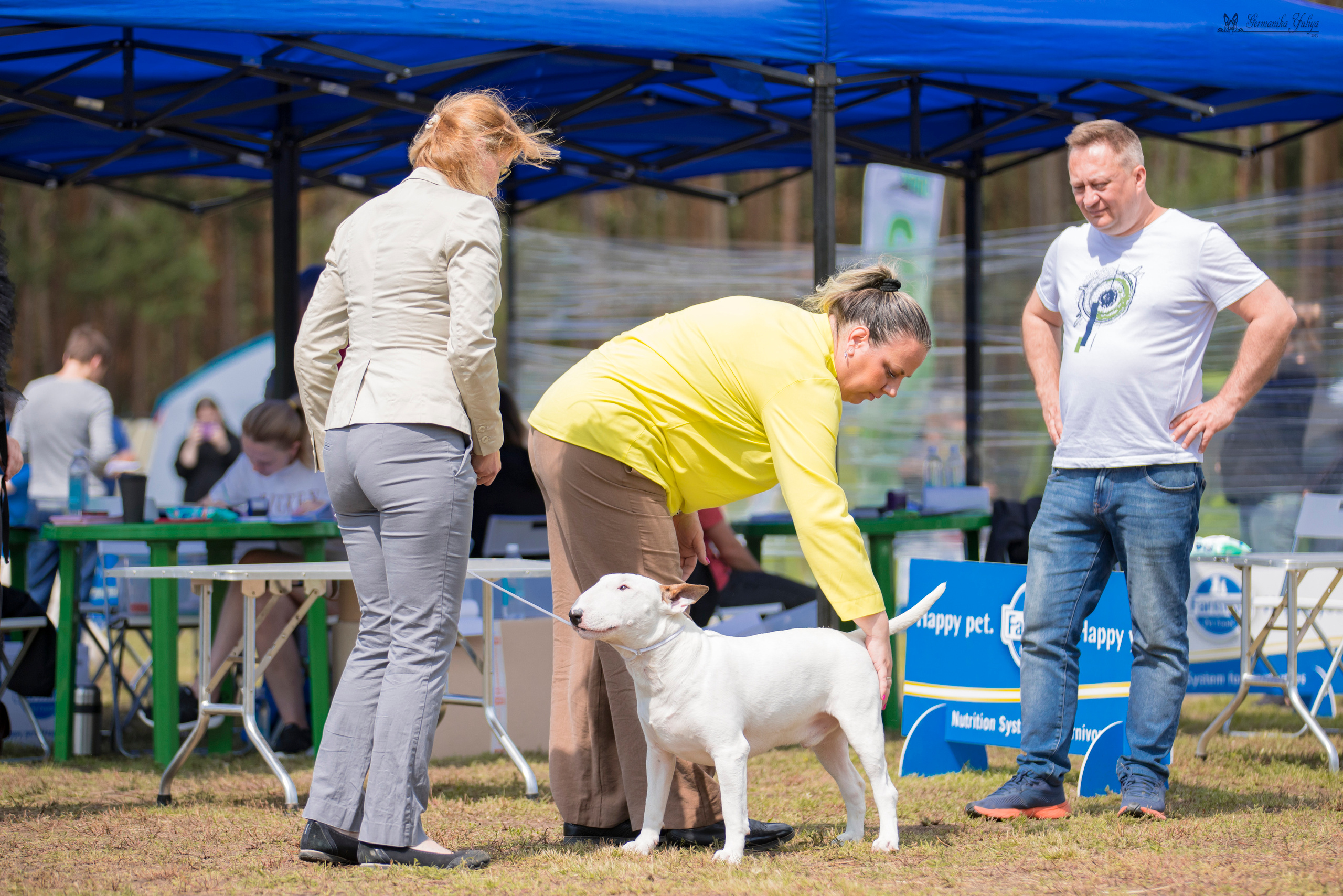 Владимир 1-2.07.2023. Фотограф-анималист Юлия Германика