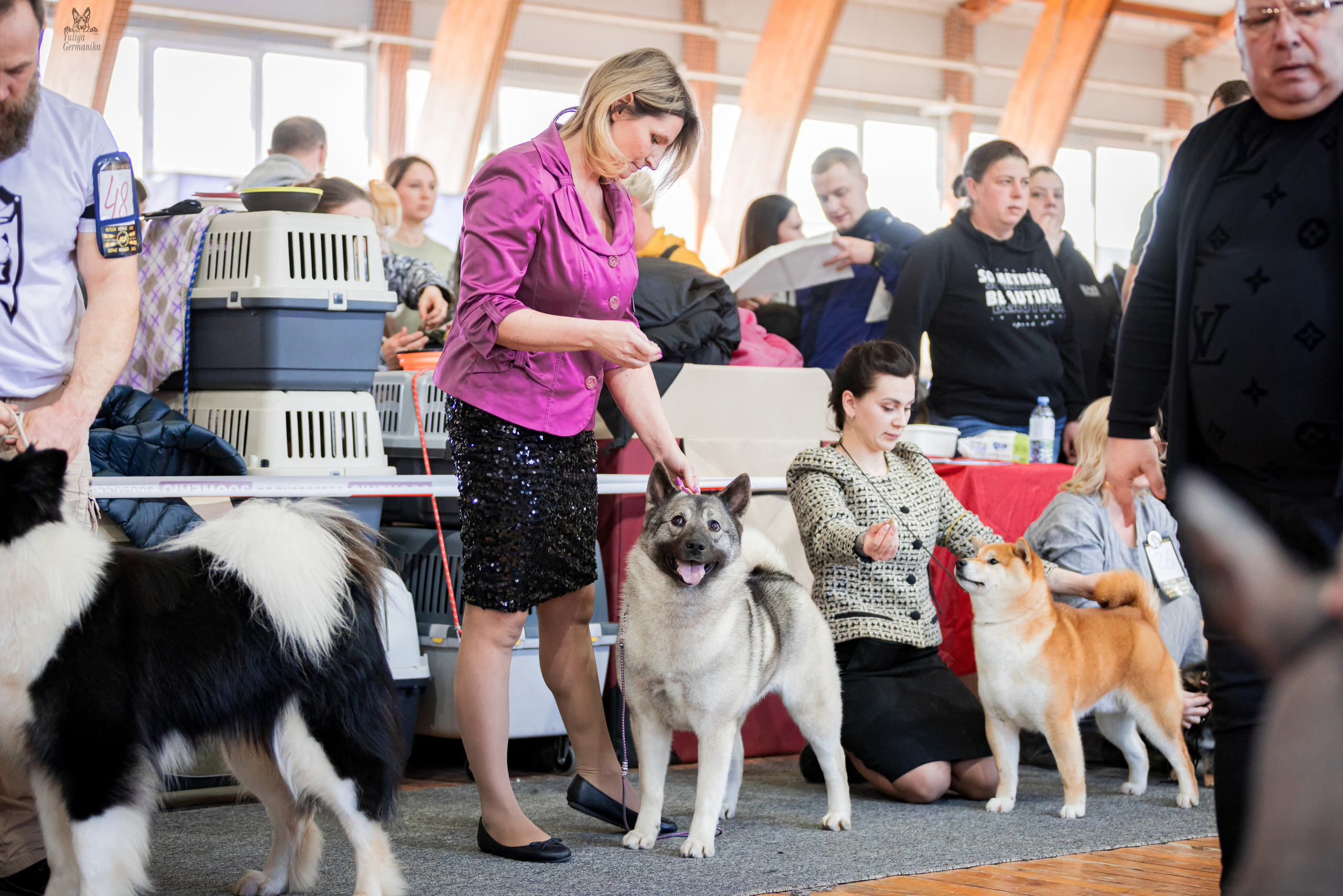 Тверь 01.04.2023. Фотограф-анималист Юлия Германика